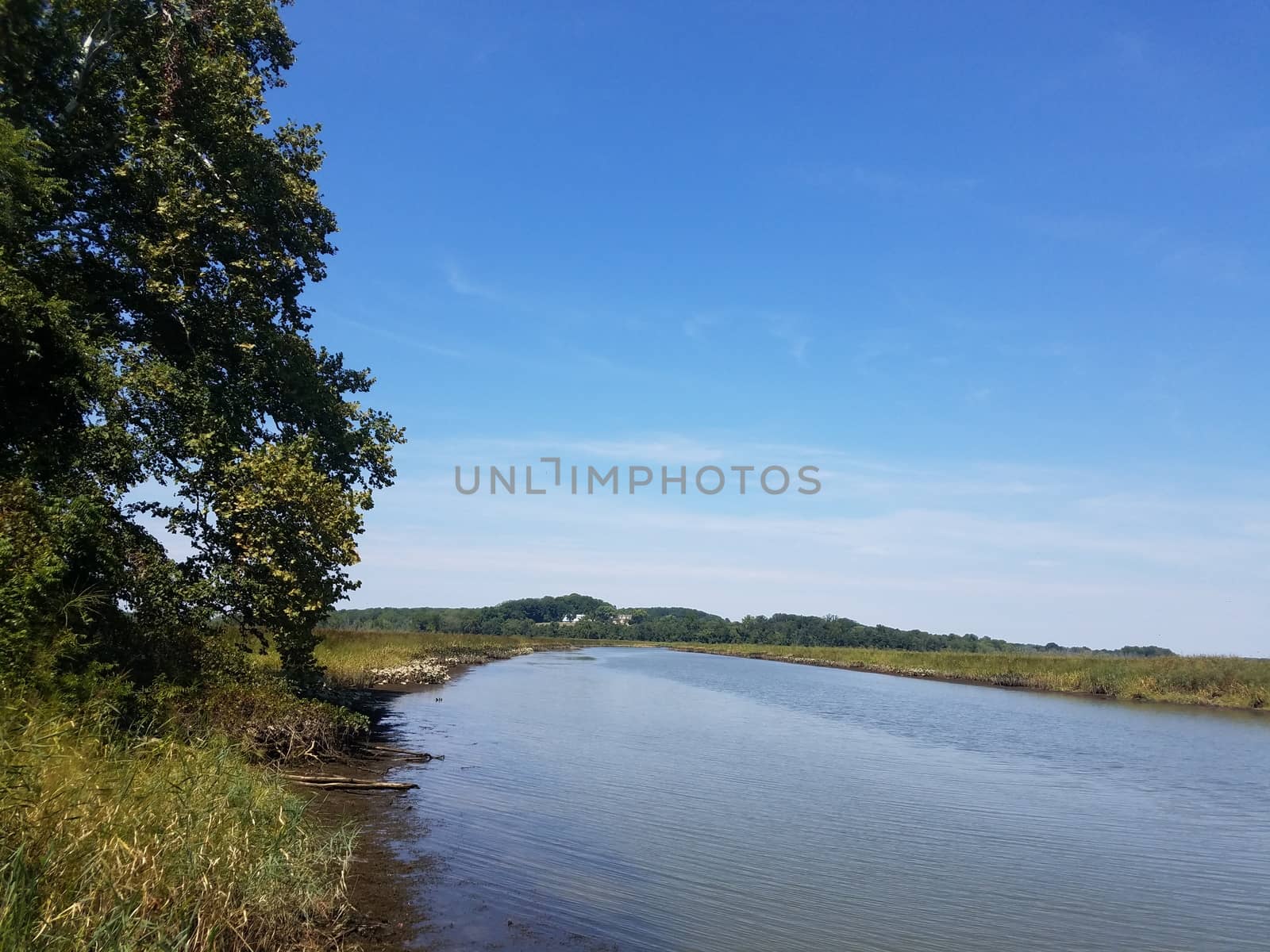 river or stream or lake water and blue sky and grass