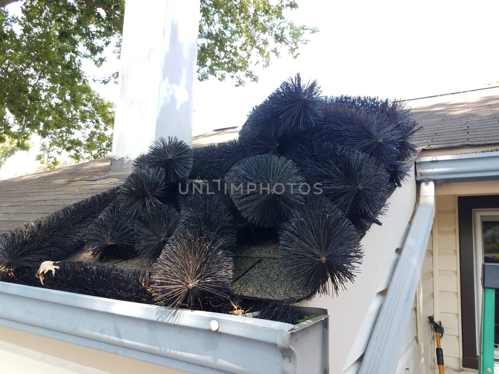 black pipe cleaner and gutter with roof shingles on house