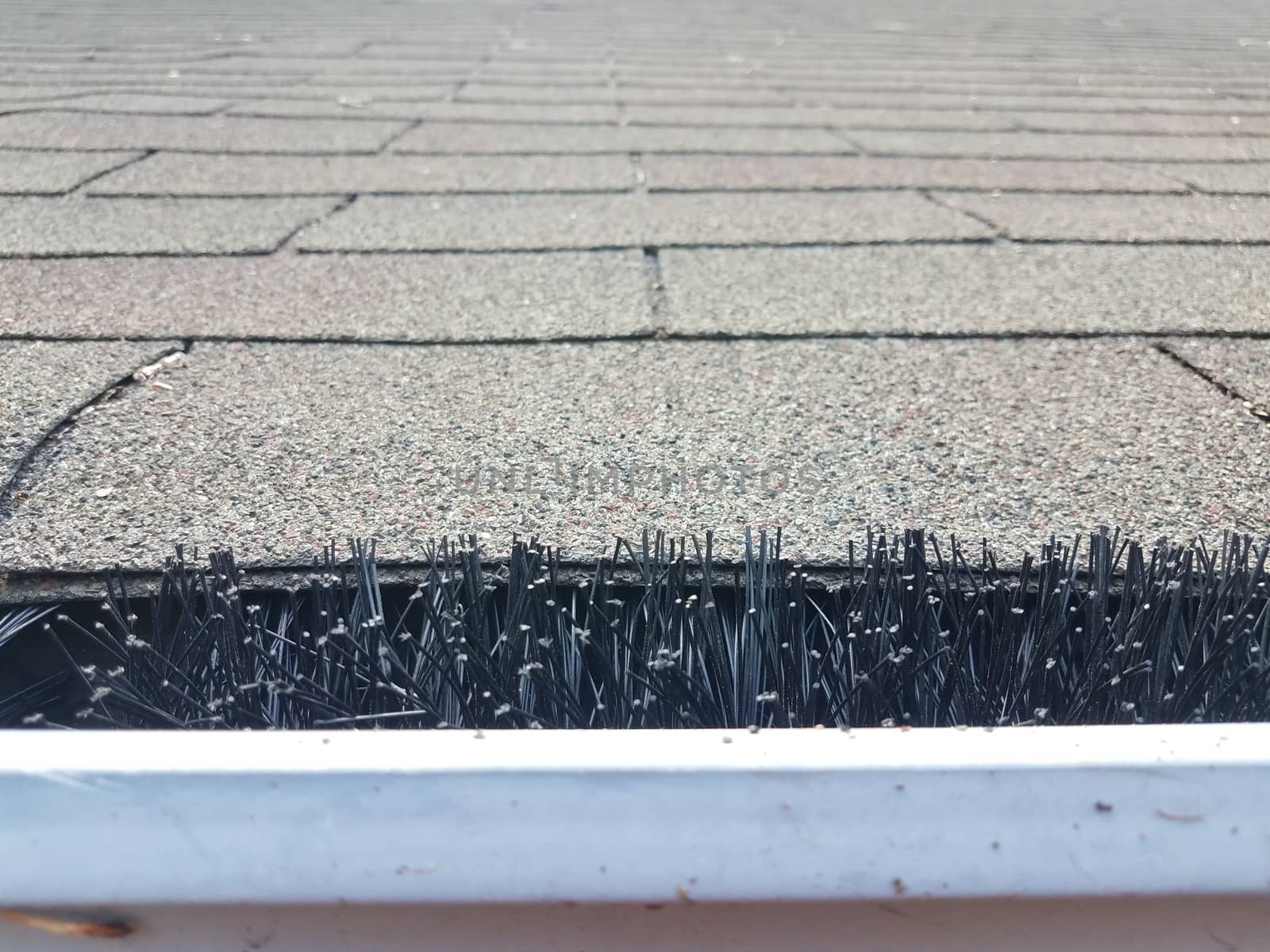 black pipe cleaner in cleaned gutter with roof shingles on house