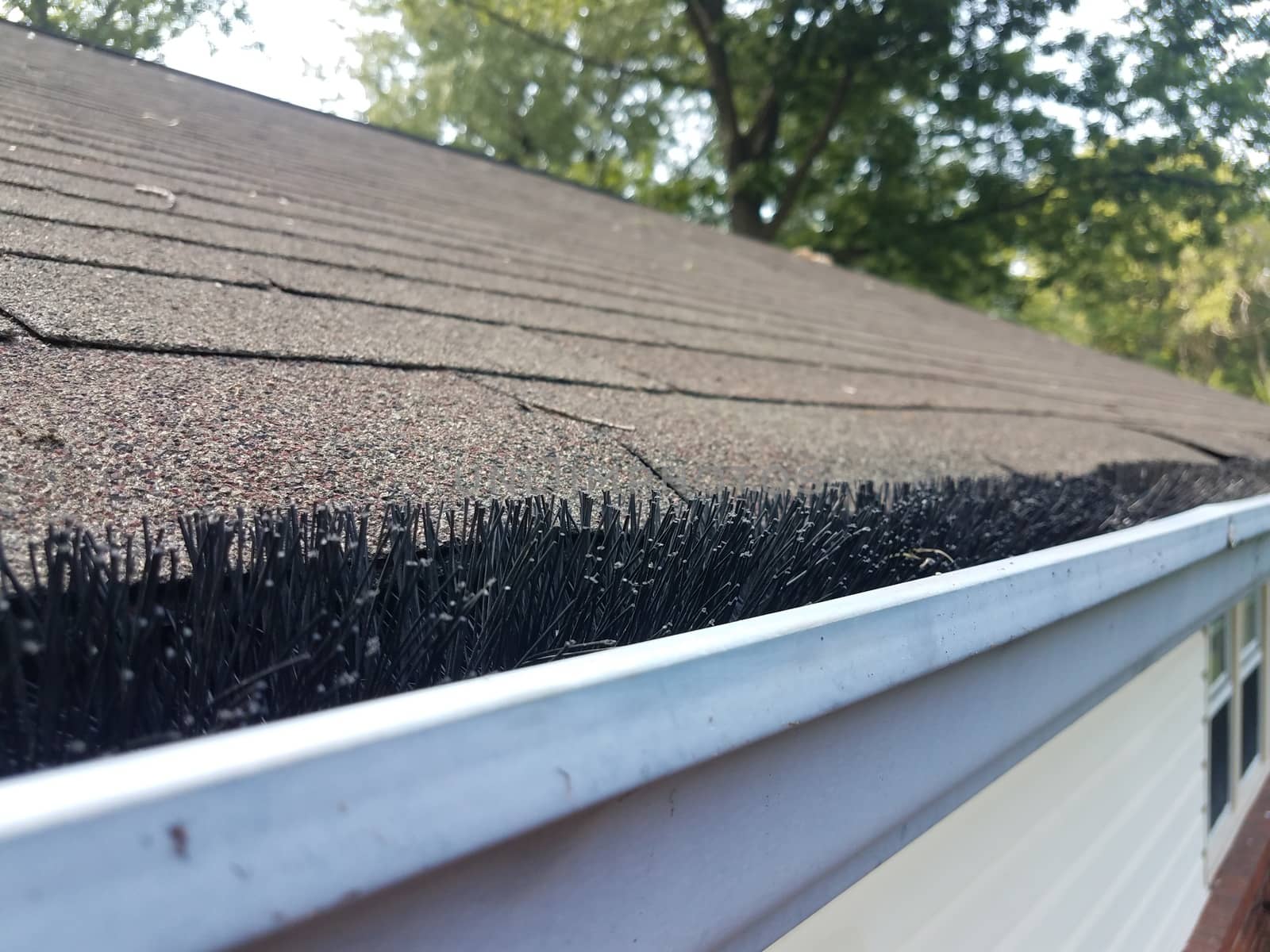 black pipe cleaner in cleaned gutter with roof of house by stockphotofan1