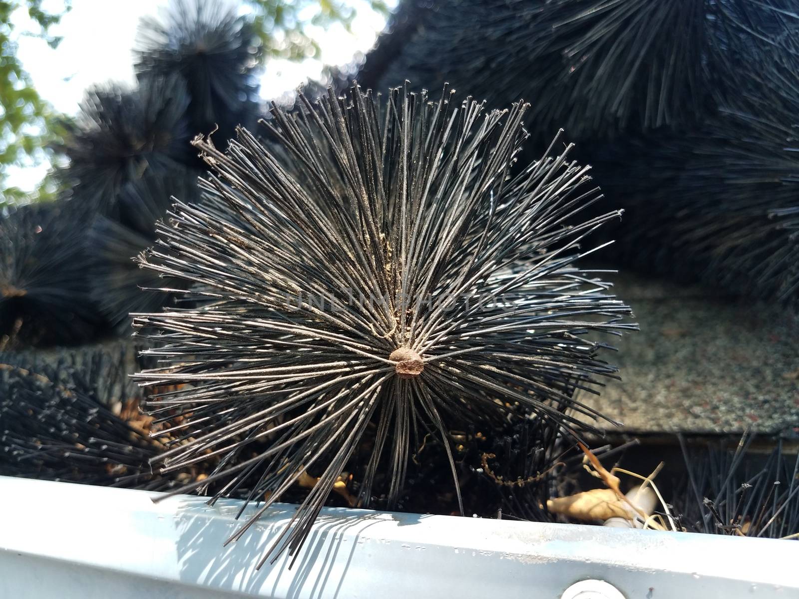 black pipe cleaner and gutter with roof shingles on house