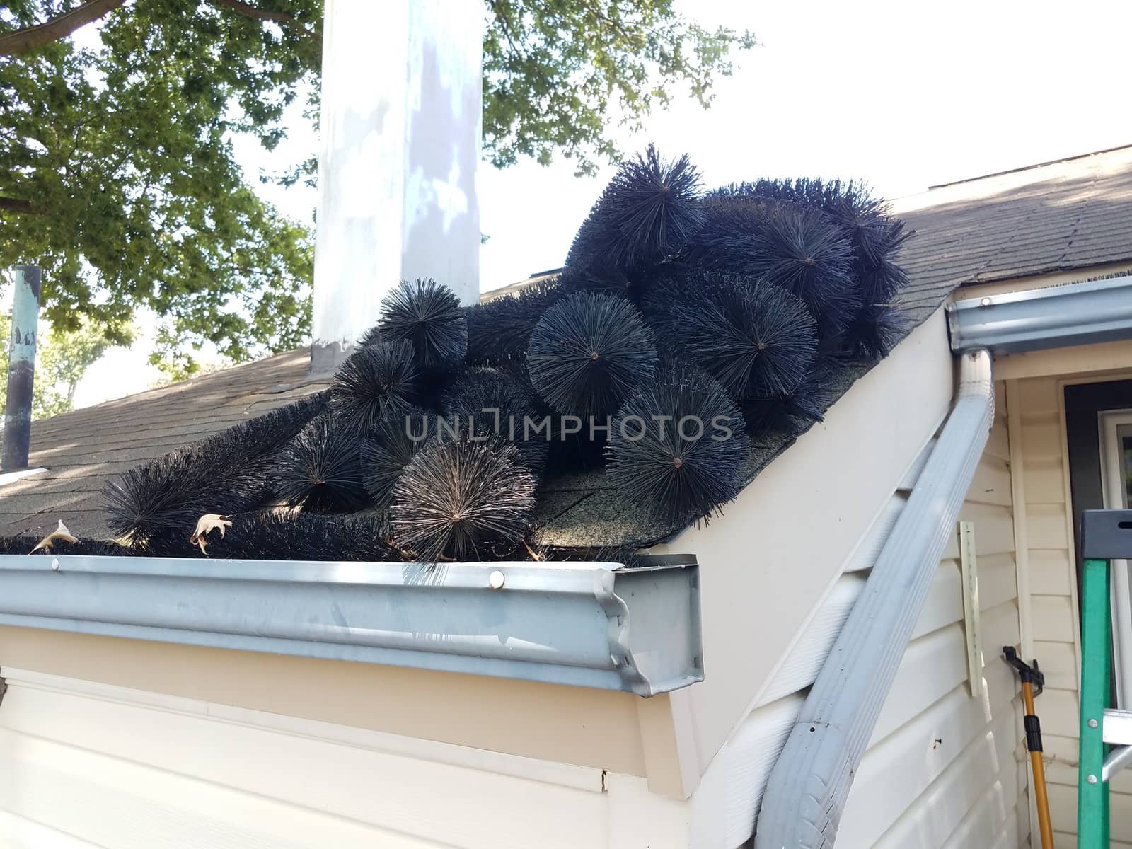 black pipe cleaner and gutter with roof of house by stockphotofan1