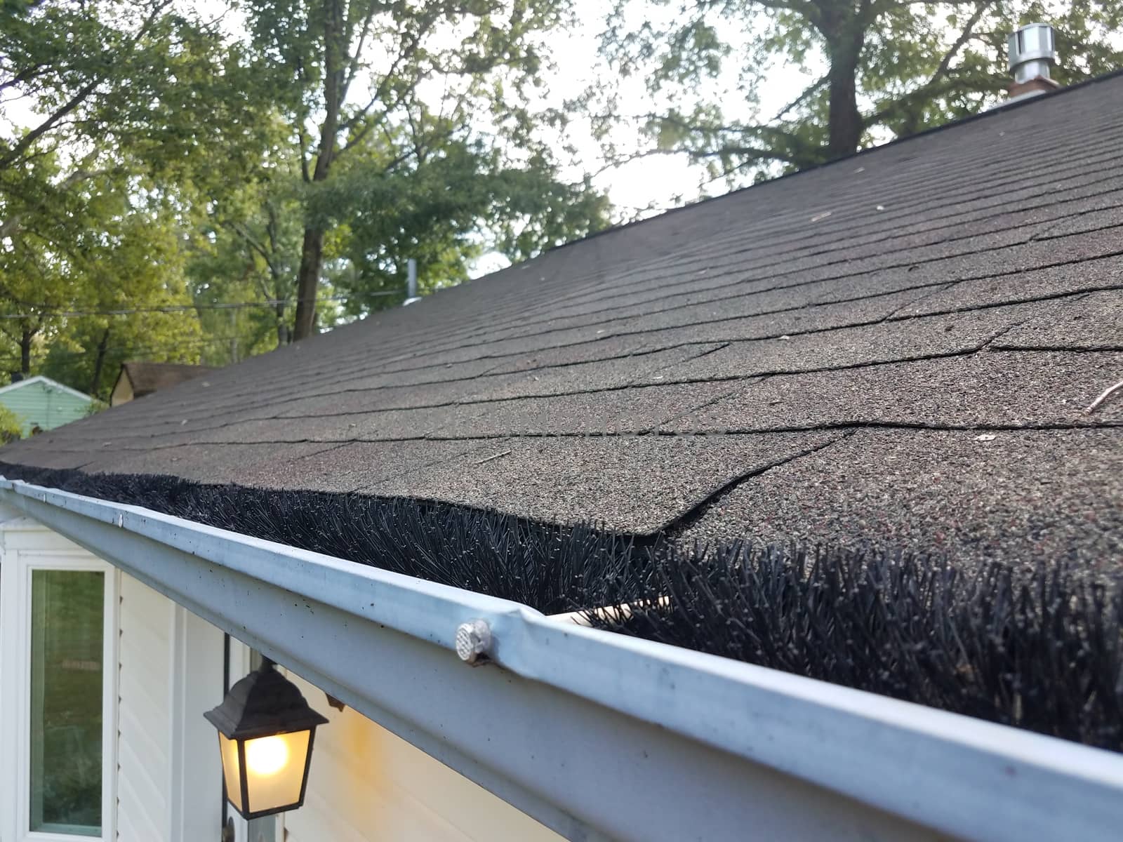 black pipe cleaner in cleaned gutter with roof shingles on house