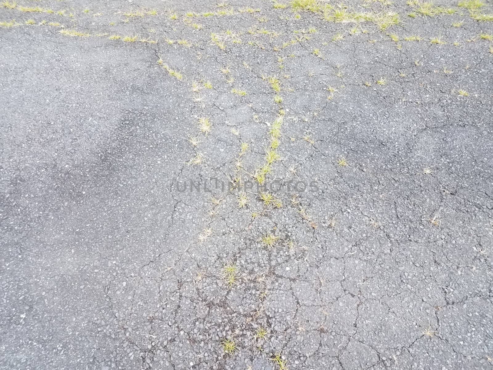 asphalt or pavement with grasses and cracks by stockphotofan1