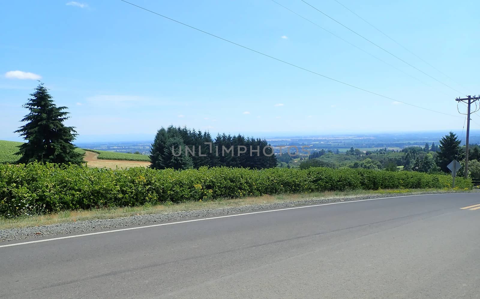 road or street asphalt and trees and hills and scenery