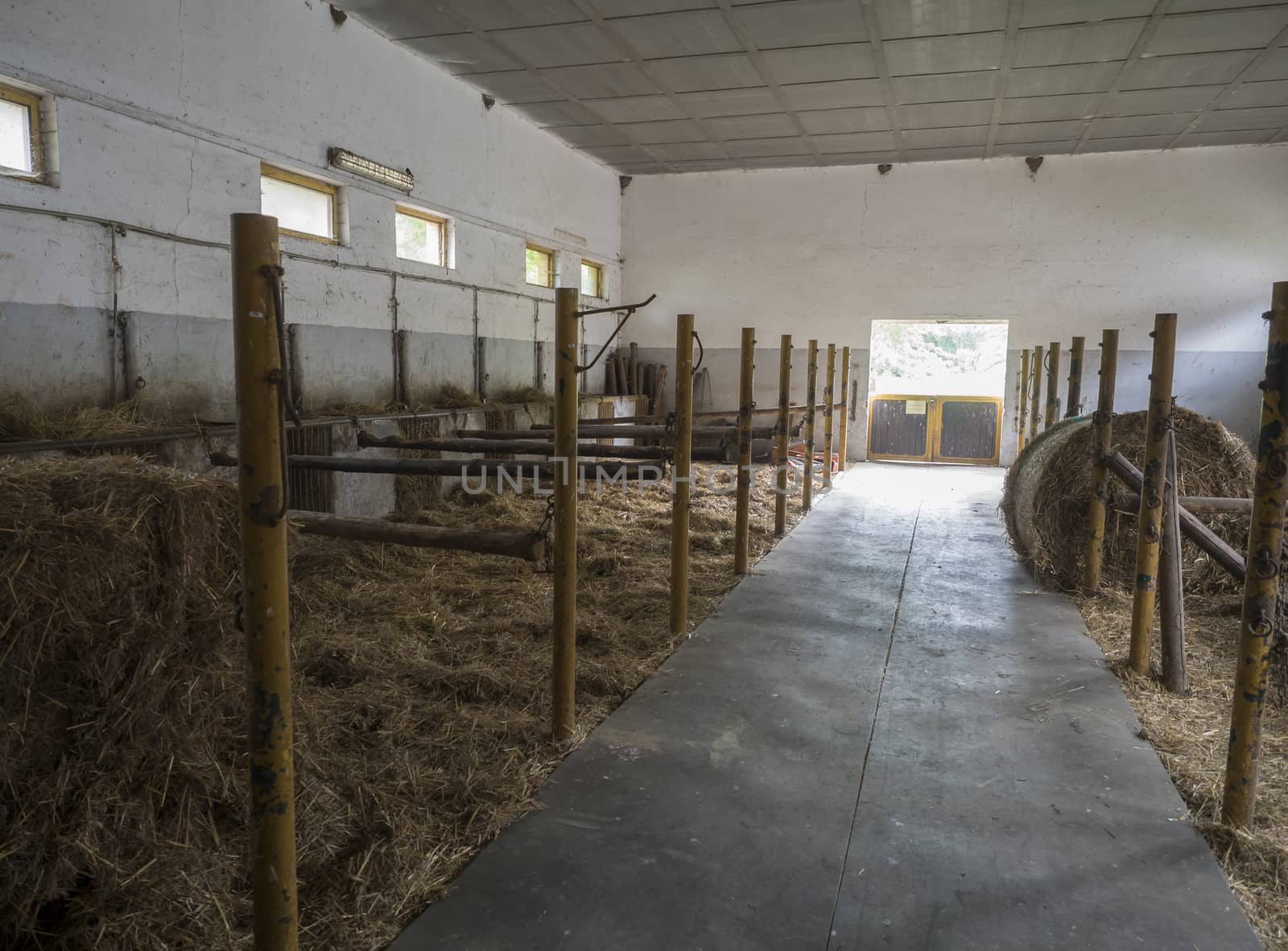 old empty horse stable stall block in historical farm Benice, straw ball