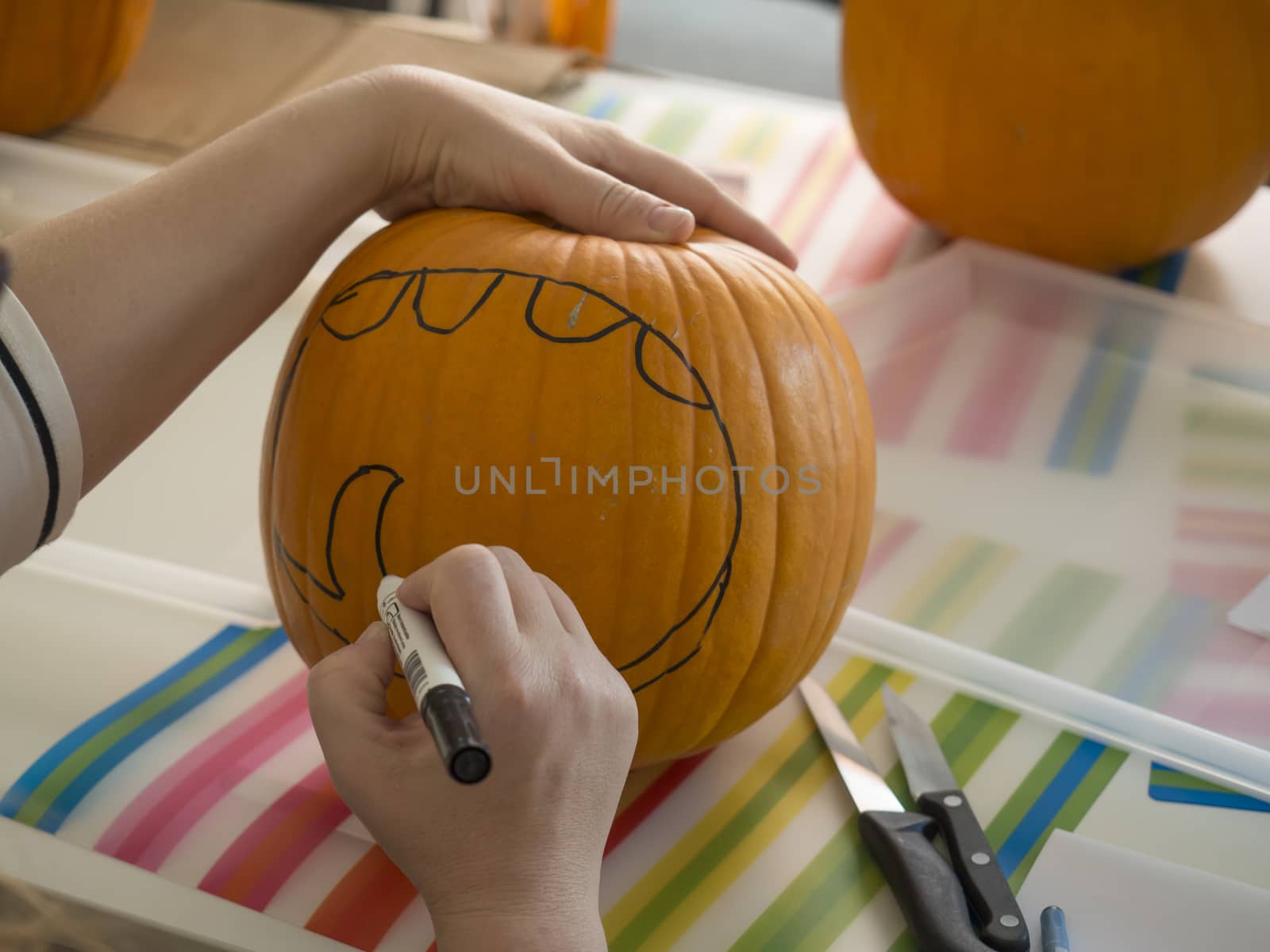 Process of carving pumpkin to make Jack-o-lantern. Creating traditional decoration for Halloween and Thanksgiving. Woman drawing decor on big orange pumpkin.