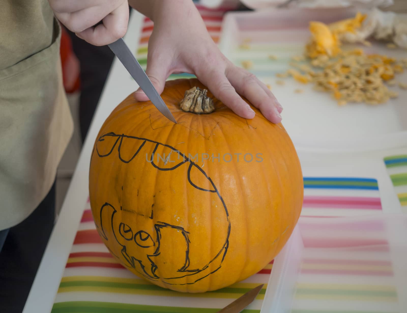 Process of carving pumpkin to make Jack-o-lantern. Creating traditional decoration for Halloween and Thanksgiving. Cutted orange pumpkin lay on table in woman hands. by Henkeova
