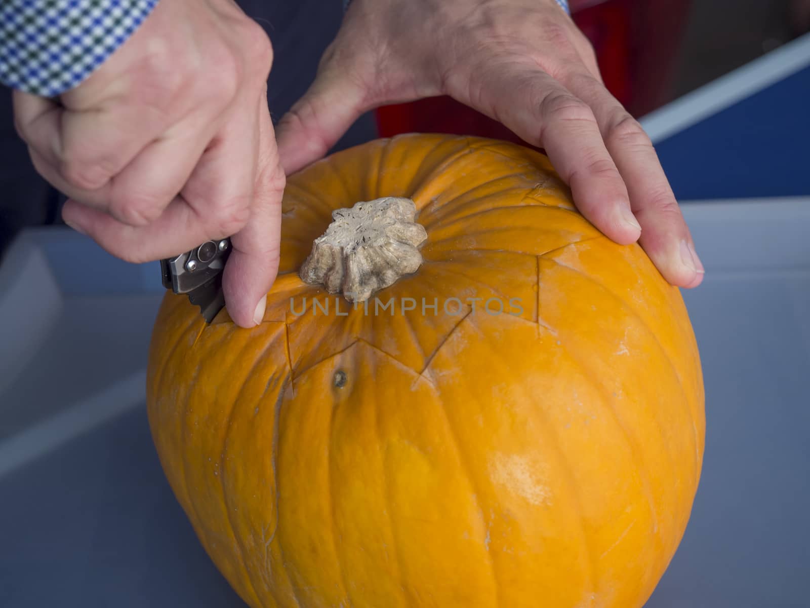 Process of carving pumpkin to make Jack-o-lantern. Creating traditional decoration for Halloween and Thanksgiving. Cutted orange pumpkin lay on table in woman hands. by Henkeova