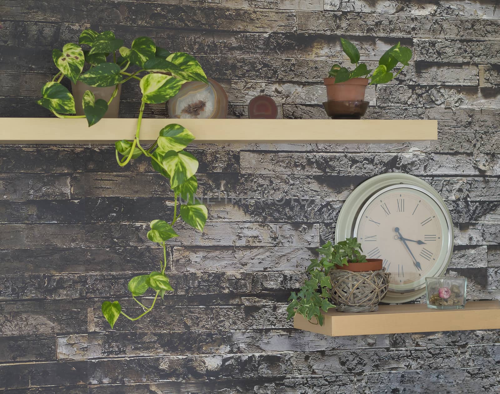living room wall with shelves pot plants clock and decorations by Henkeova