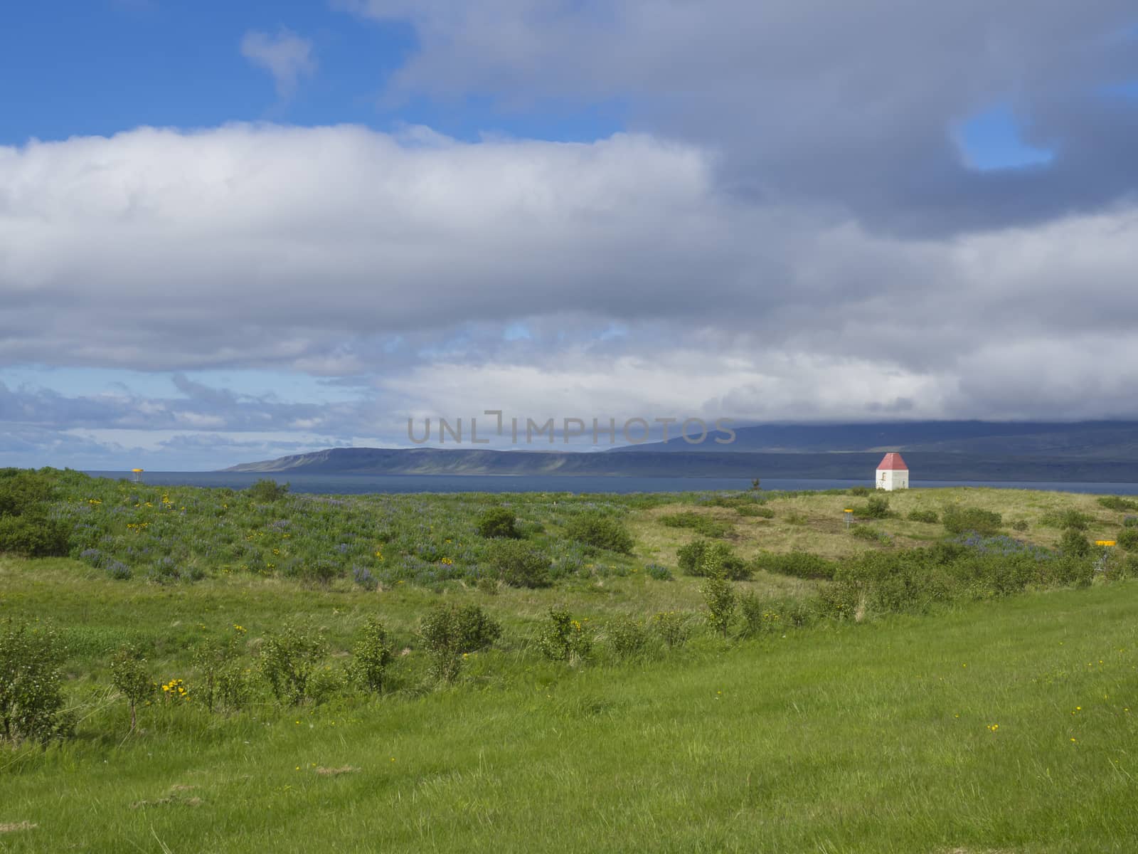 Iceland summer landscape with lush green grass meadow, sea and cliffs on horizon, small house and blue sky white clouds background by Henkeova