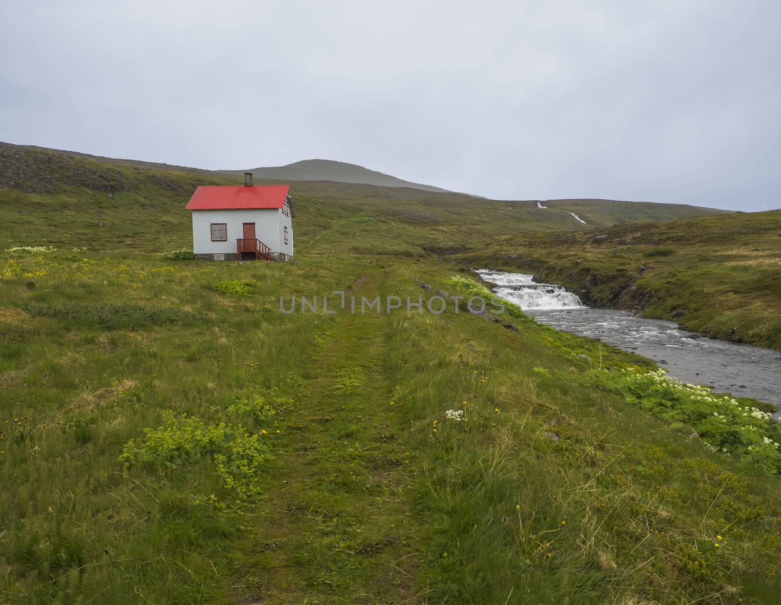 Footpath in abandoned village Heysteri in Iceland West fjords in remote nature reserve Hornstrandir, small white houses with red roof, lush green grass with flowers, river with water cascade and moody sky