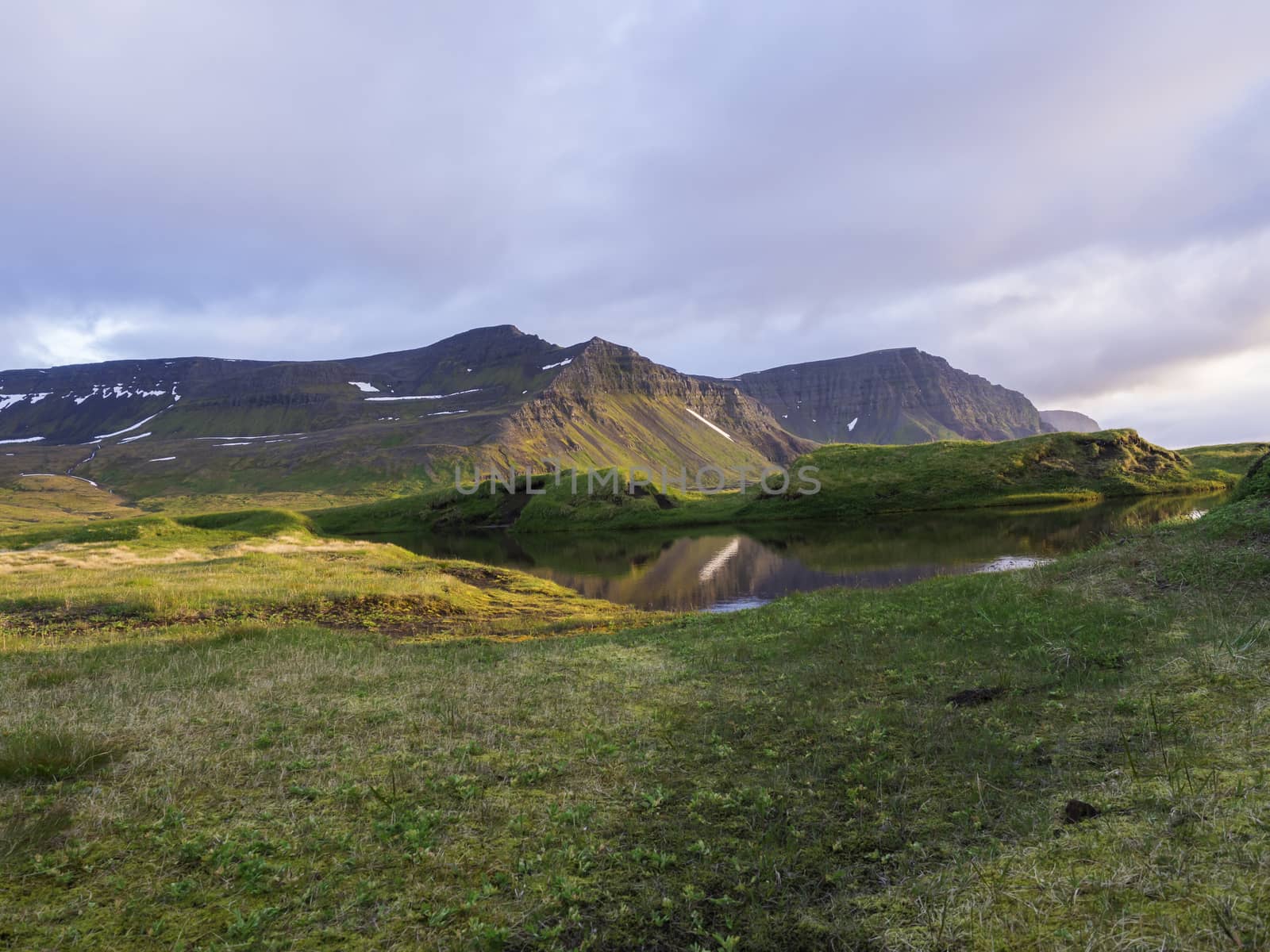 Northern landscape with green grass mossed creek banks in Hornstrandir Iceland, snow patched hills and cliffs, cloudy sky background, golden hour light, copy space
