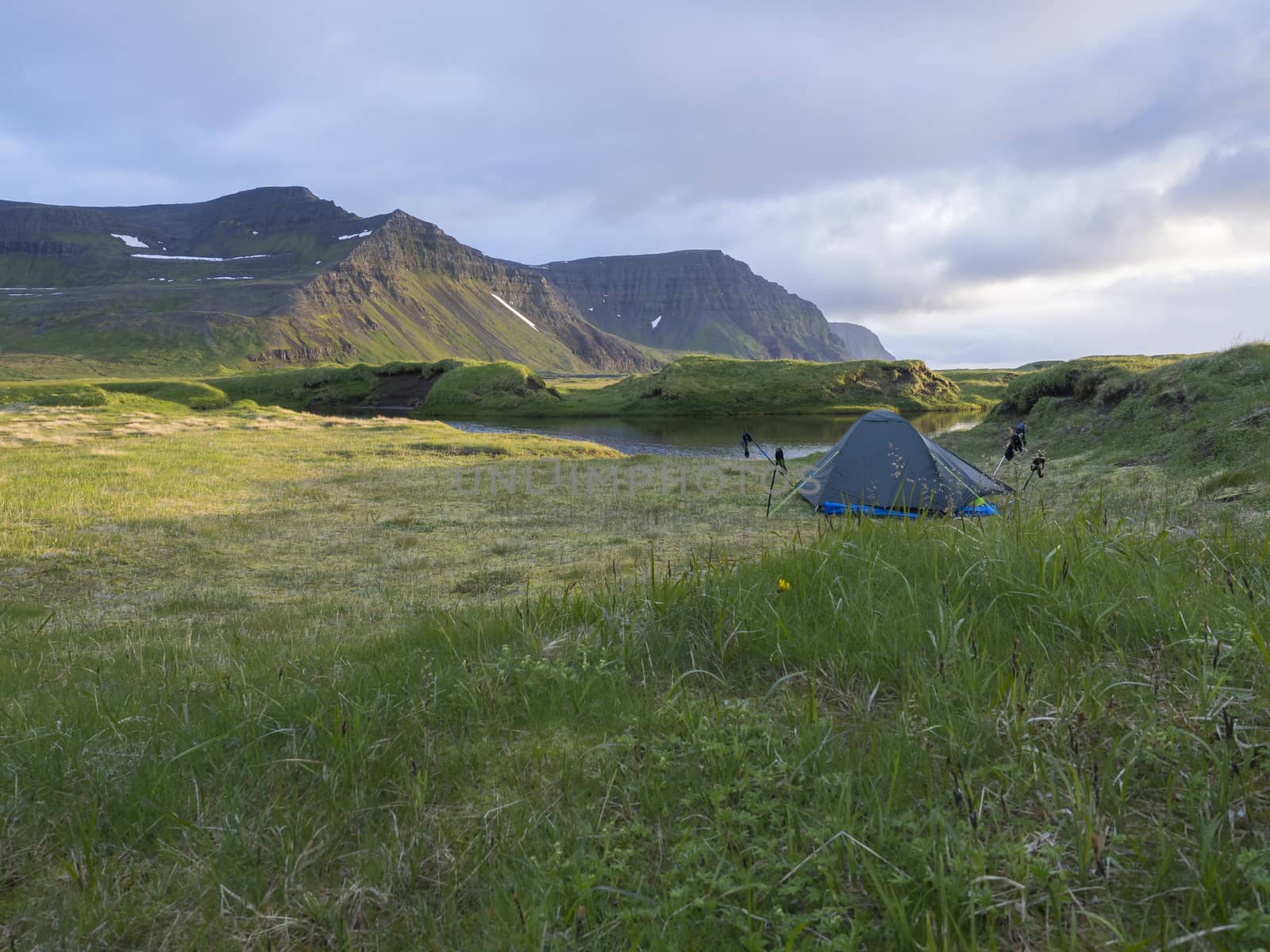 small blue tent standing alone on green grass on mossed creek banks in Hornstrandir Iceland, snow patched hills and cliffs, cloudy sky background, golden hour light, copy space.