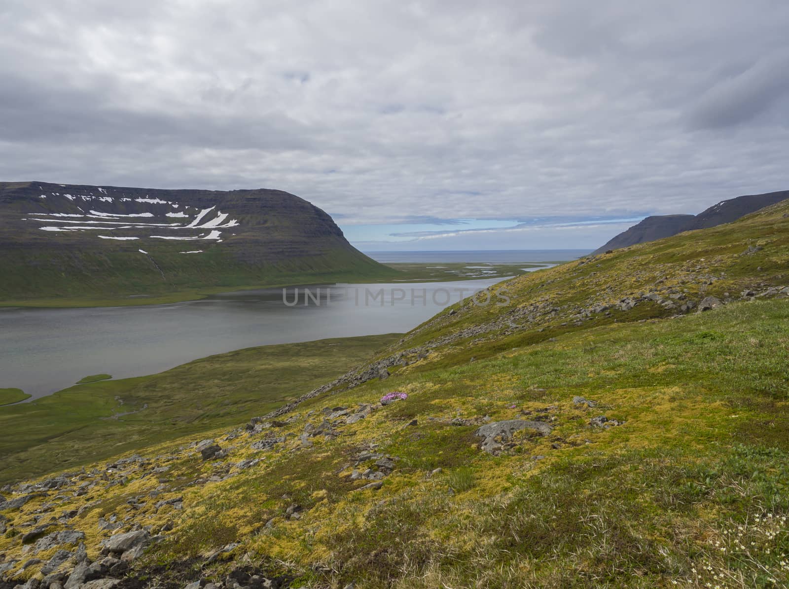 View on adalvik and latrar in west fjords nature reserve Hornstrandir in Iceland with lake and river stream by Henkeova