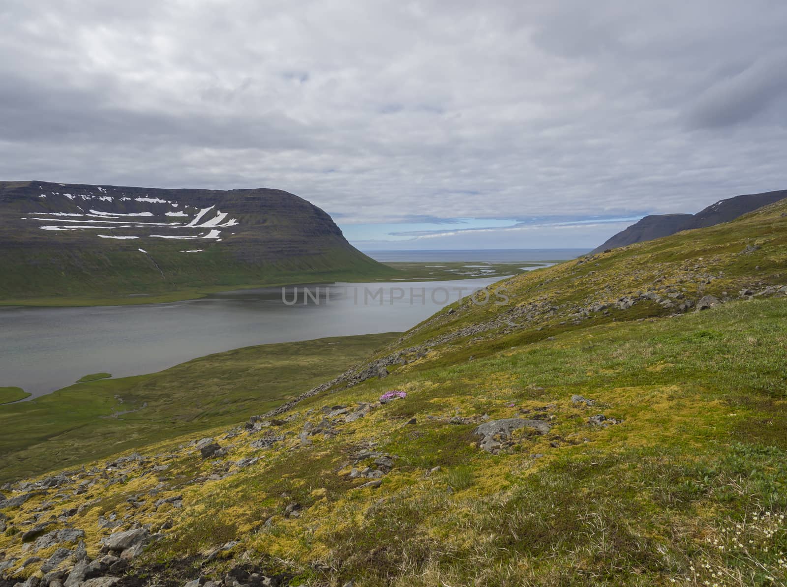 View on adalvik and latrar in west fjords nature reserve Hornstrandir in Iceland with lake and river stream, green grass meadow, beach, ocean, hills and dramatic cliffs, dark cloudy sky background