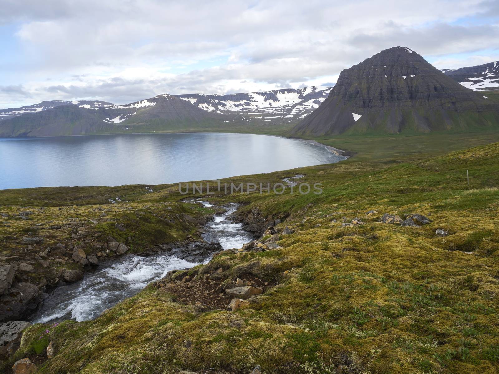 Northern summer landscape, beautiful snow covered cliffs and Alfsfell mountain, sea in Hloduvik cove with wild water stream, green meadow, clouds, in Hornstrandir, west fjords, Iceland by Henkeova