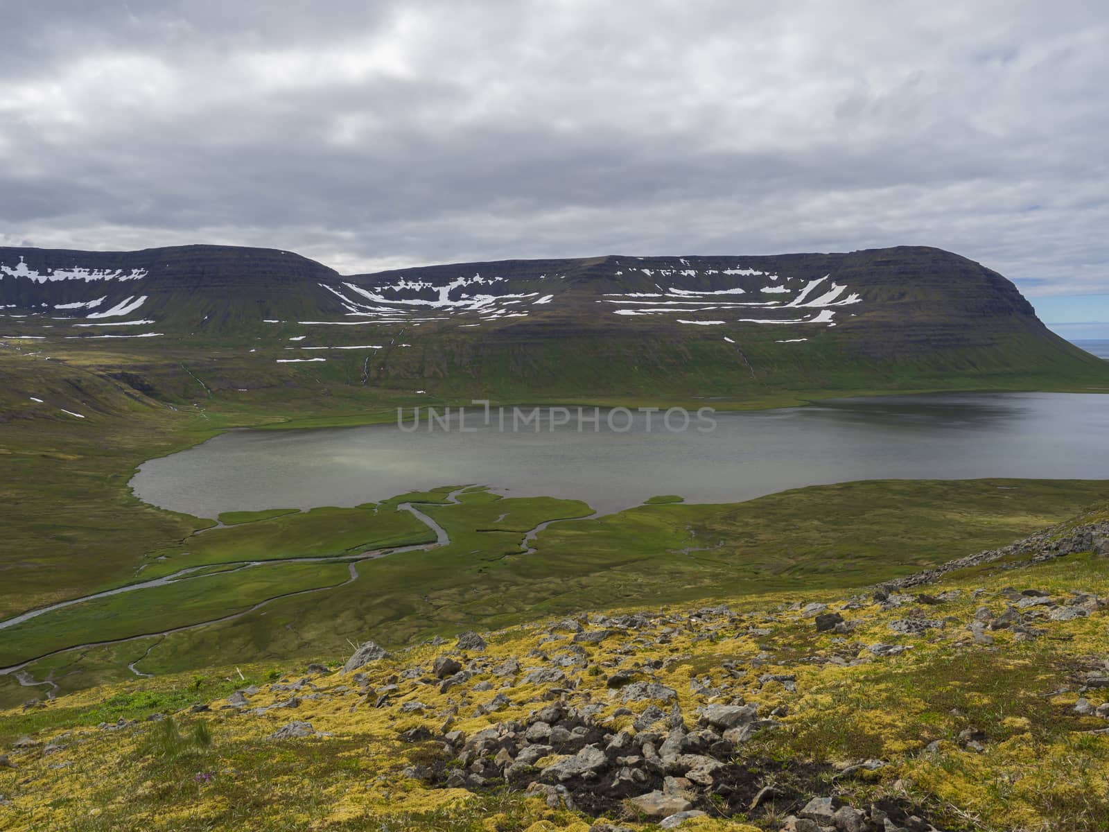 Northern summer landscape, beautiful snow covered cliffs and fljotsvatn lake in Fljotavik cove in Hornstrandir, west fjords, Iceland, with river stream, green grass meadow, moody sky background by Henkeova