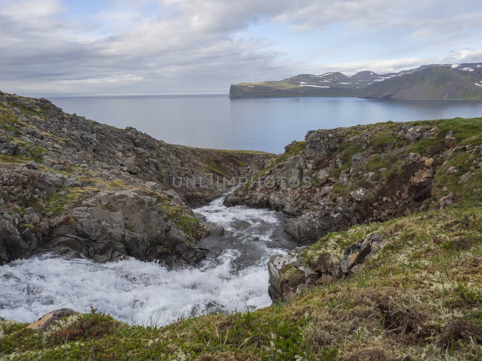 Northern wild summer landscape, View on beatuful cliffs in Hloduvik cove in west fjords nature reserve Hornstrandir in Iceland, with wild river stream cascade, green meadow and blue sky white clouds background
