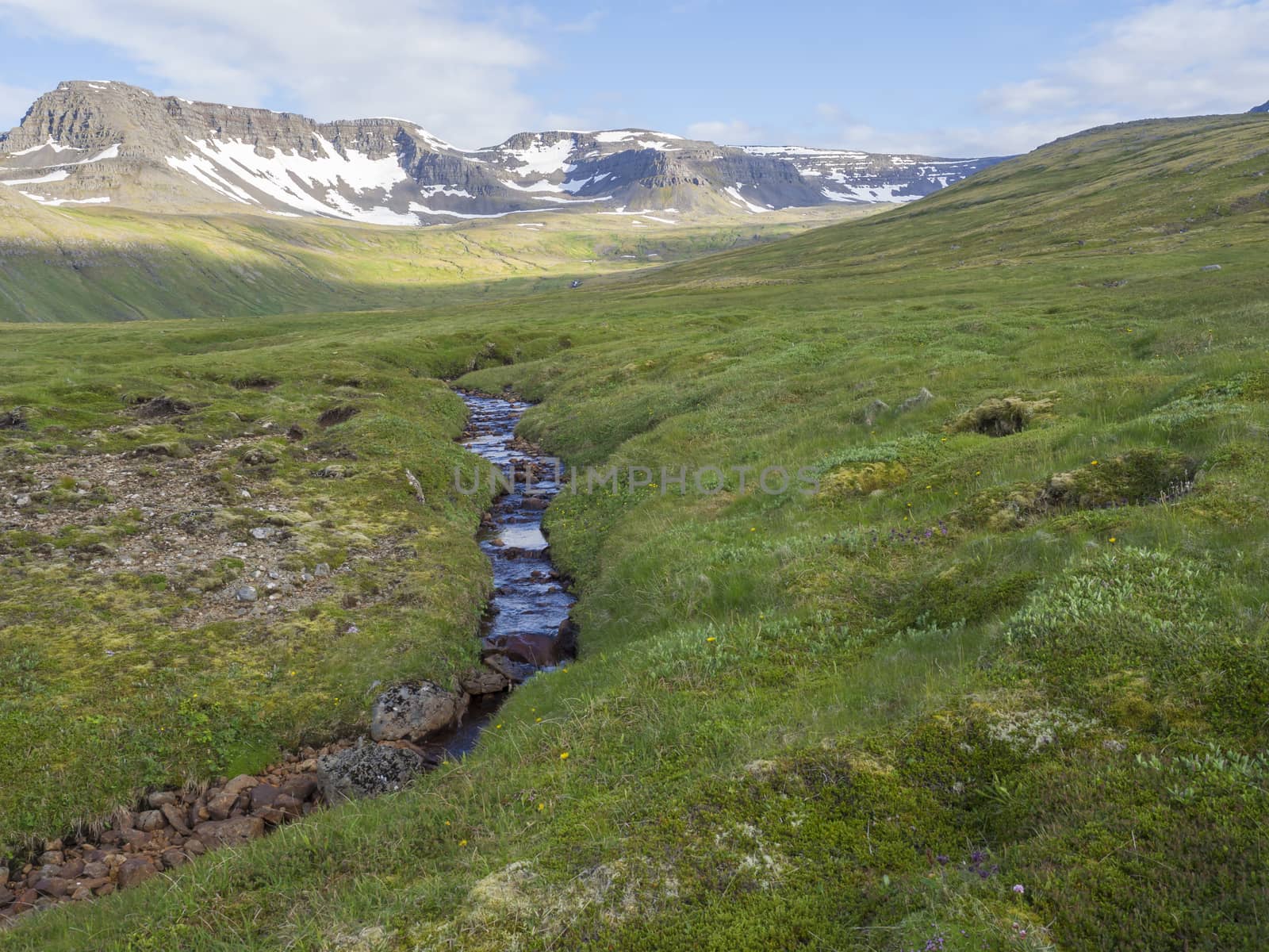 Northern summer landscape, beautiful snow covered cliffs and mountain, in Hloduvik cove with wild creek water stream, green meadow, clouds, Hornstrandir, west fjords, Iceland