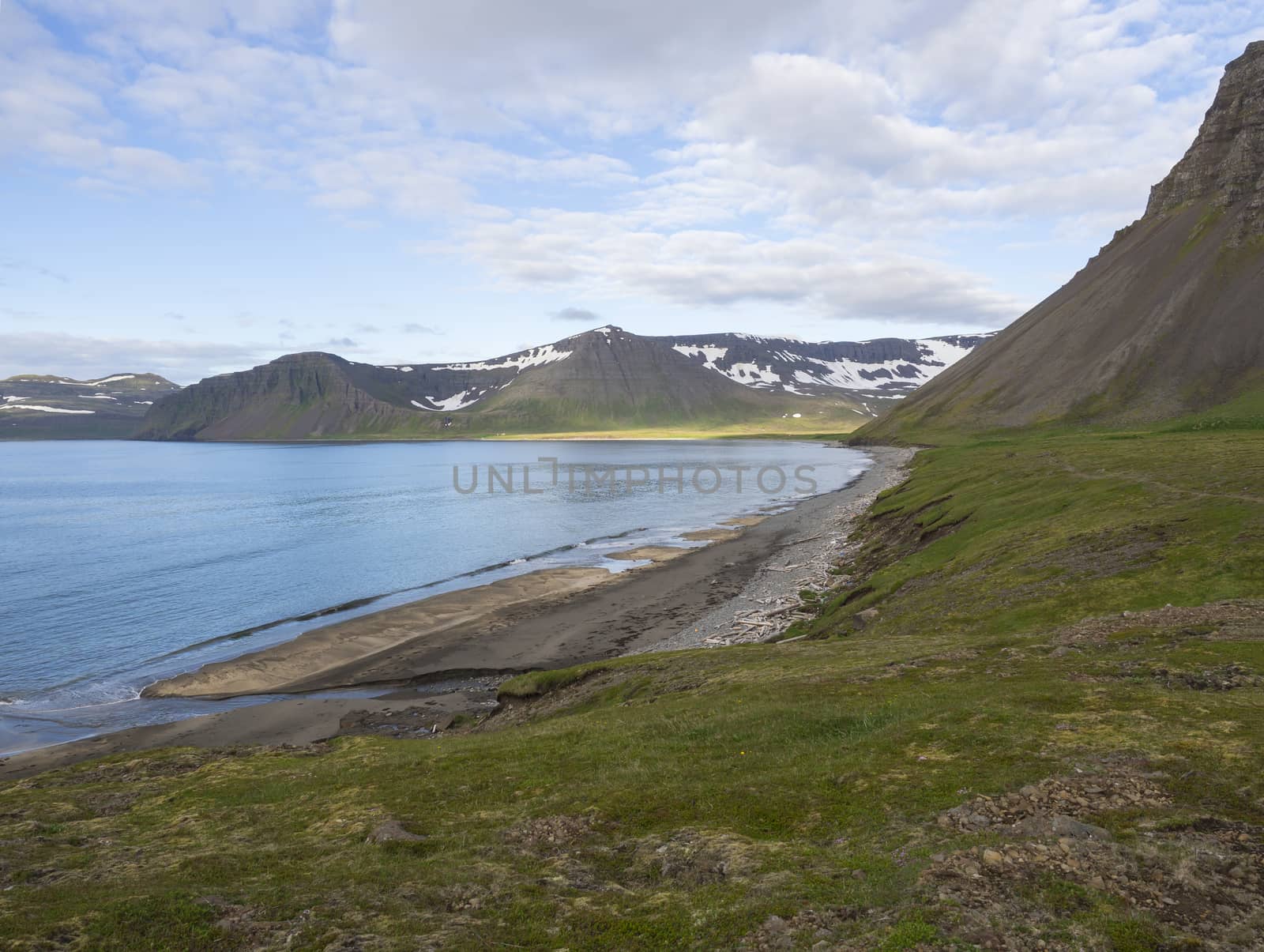Northern summer landscape, sand bech with view on beautiful snow covered cliffs and Alfsfell mountain, Hloduvik cove in Hornstrandir, west fjords, Iceland, green meadow, blue sky background by Henkeova