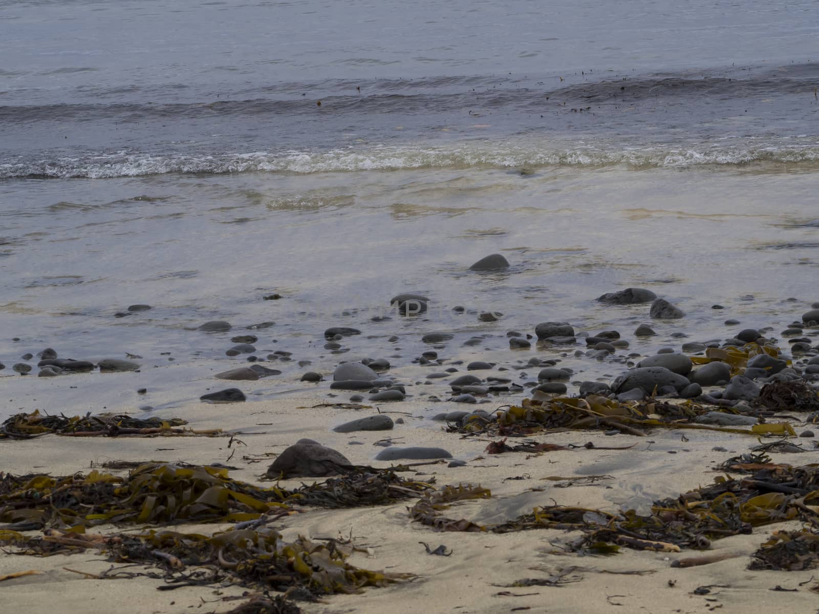 Rough Icelandic Coast in west fjords Iceland, rocks, pebbles , sand and shore by Henkeova