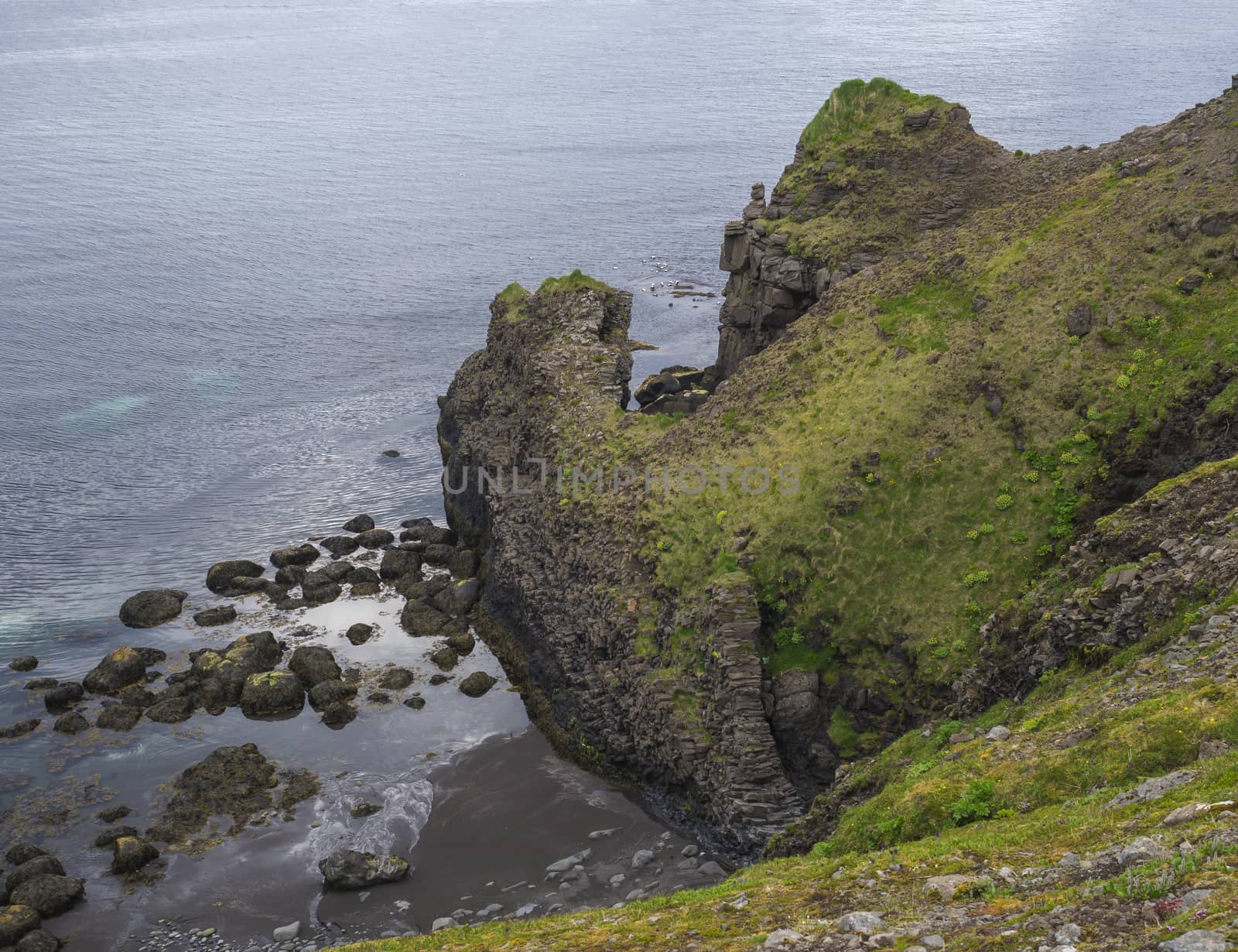 bird cliff rocks in atlantic ocean with lava rock formation sea and blue sky backgound, summer in nature reserve in Hornstrandir , westfjords, Iceland, copy space.