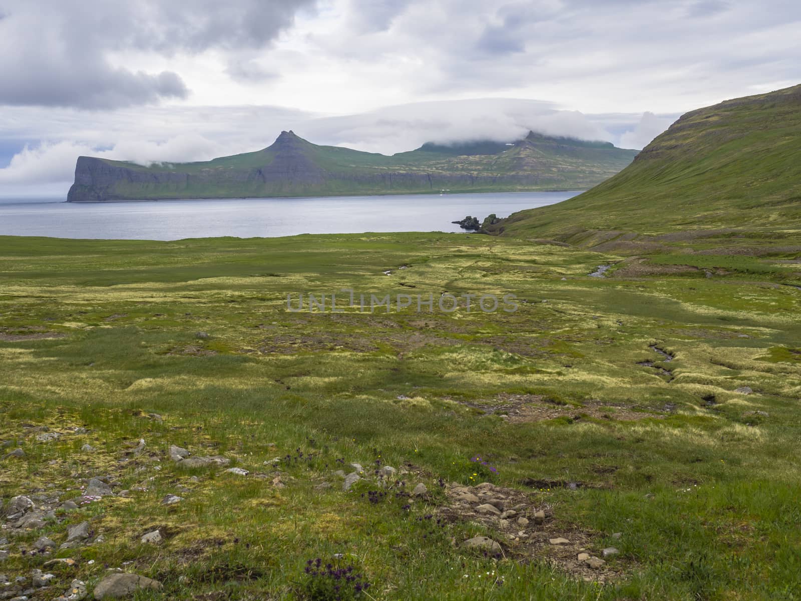 Scenic view on beautiful Hornbjarg cliffs in west fjords, remote nature reserve Hornstrandir in Iceland, with green meadow, flowers, water stream and hills, blue sea and cloudy sky background