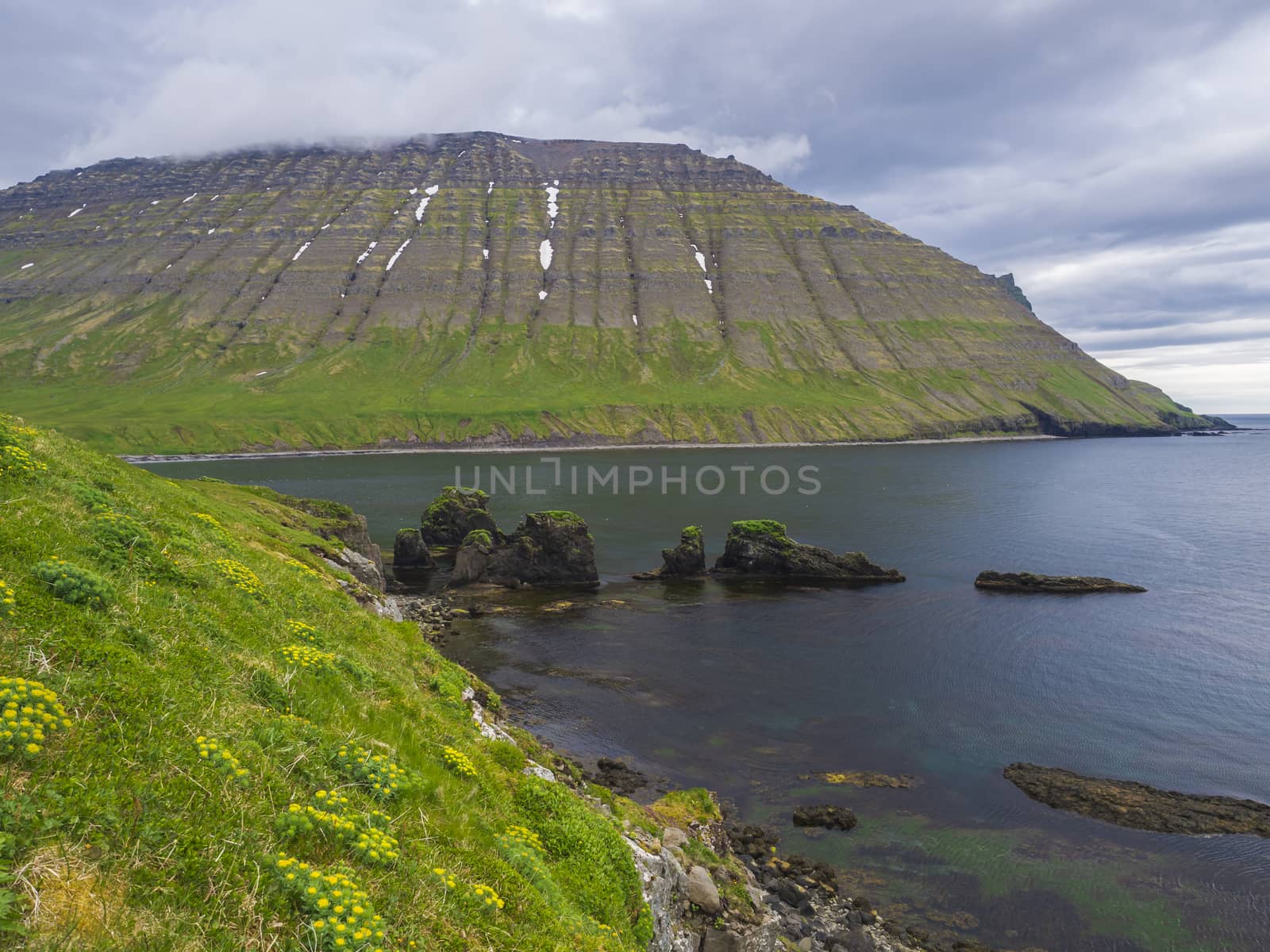Northern summer landscape with view on beautiful snow covered cliffs, Alfsfell mountain and big bird cliff rocks in Hloduvik cove in Hornstrandir, west fjords, Iceland, green meadow, blue sky background.