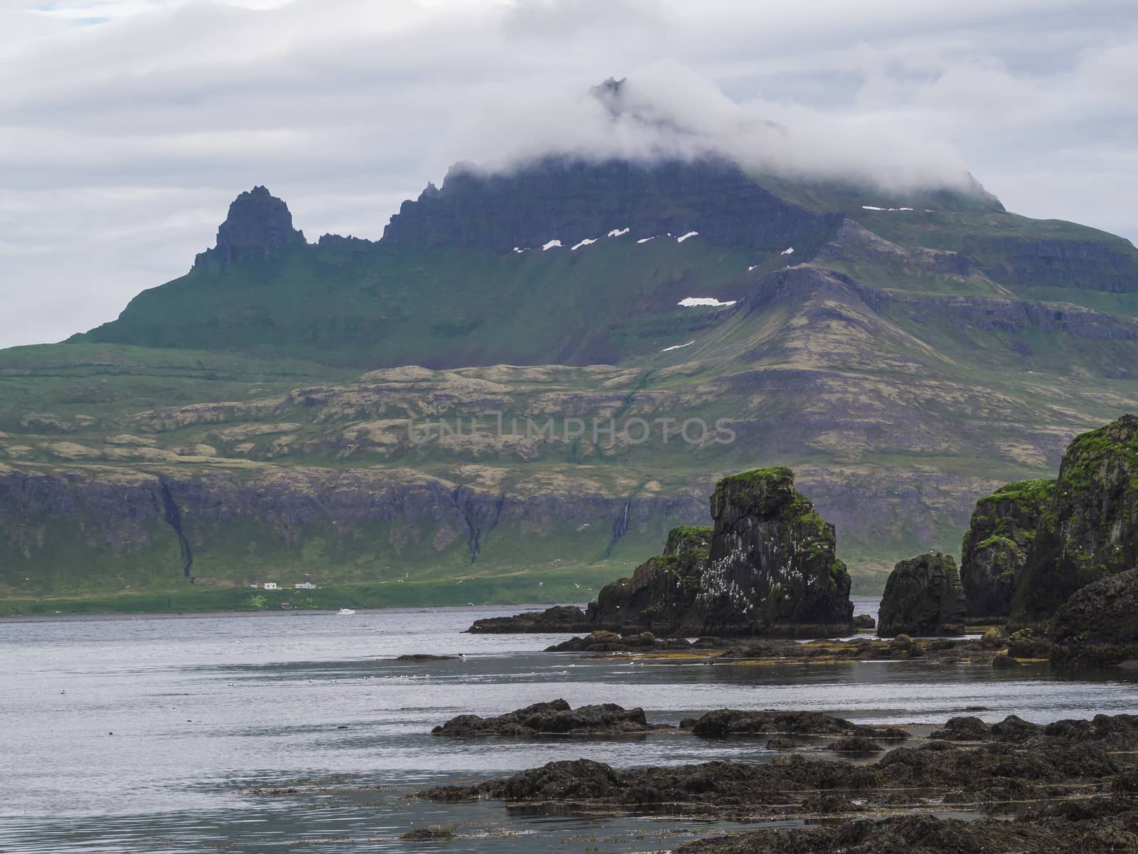 Mysterious view on beautiful king and queen Hornbjarg cliffs in west fjords, remote nature reserve Hornstrandir in Iceland, with with big bird cliff rocks blue sea and cloudy sky, peak lost in fog by Henkeova