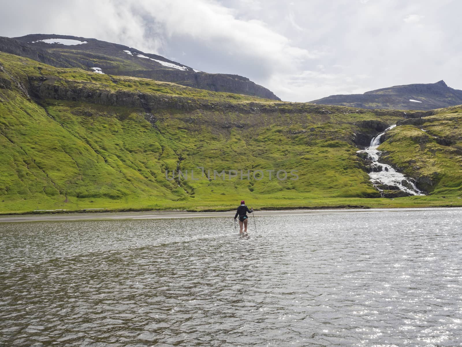Hiker woman with trekking poles in jacket, purple hat and bare legs crossing river in Iceland Hornstrandir on trek to Hornbjarg cliff, waterfall and green hills in background. Hiking and leisure theme
