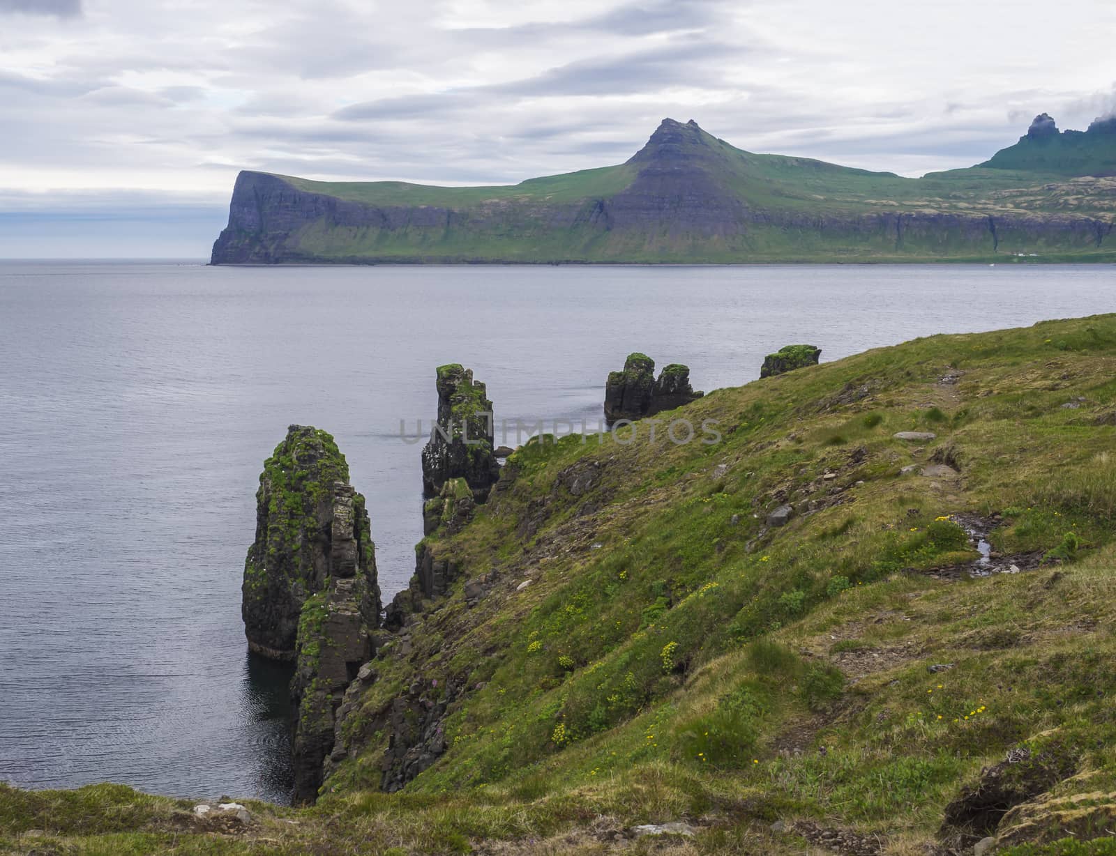 Scenic view on beautiful Hornbjarg cliffs in west fjords, remote nature reserve Hornstrandir in Iceland, with big bird cliff rocks blue sea and cloudy sky background.