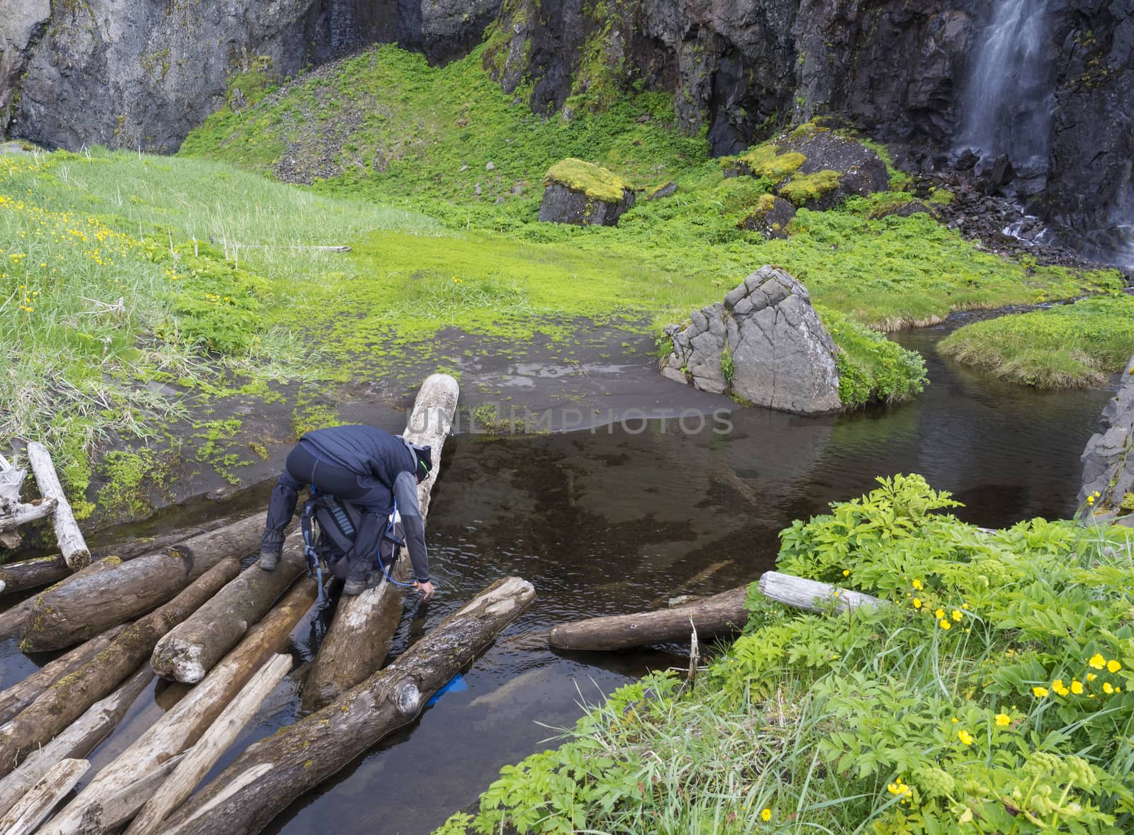 man hiker standing on wooden log takeing up clean water, filling bottle from creek, lush green meadow and waterfall in background, Iceland, west fjords