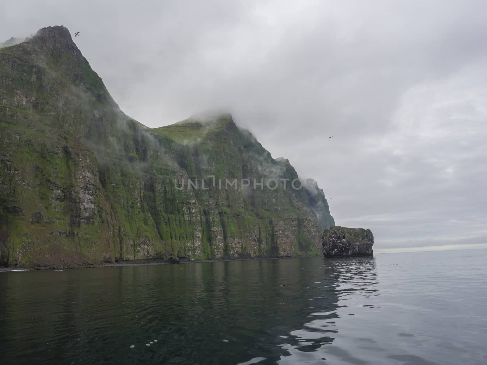 view from boat on steep green Hornbjarg cliffs biggest bird cliffs in Europe, west fjords, remote nature reserve Hornstrandir in Iceland, misty fog ocean and moody sky by Henkeova