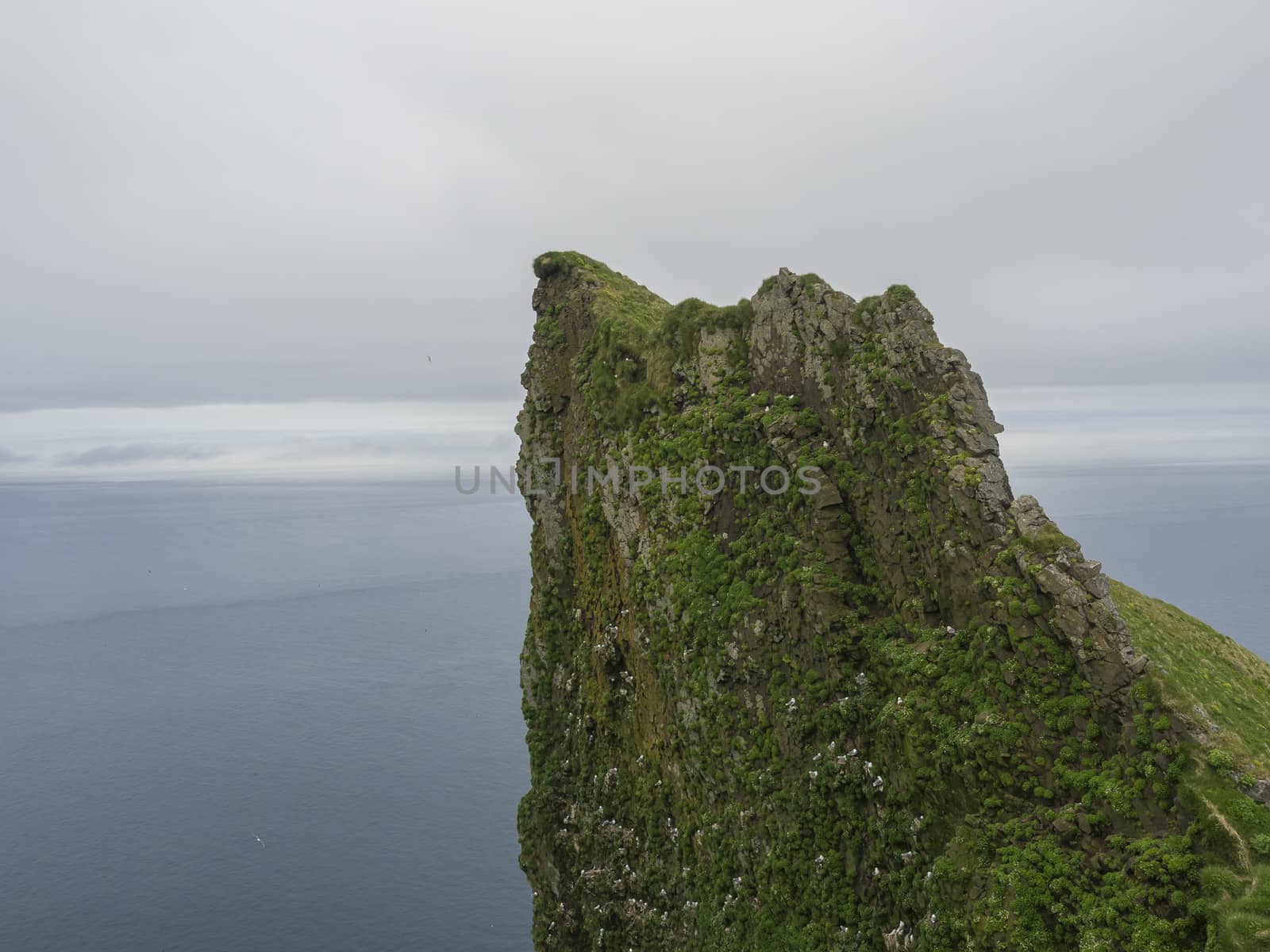 view on top of steep king and queen Hornbjarg bird cliff in west fjords, remote nature reserve Hornstrandir in Iceland, ocean and gray sky
