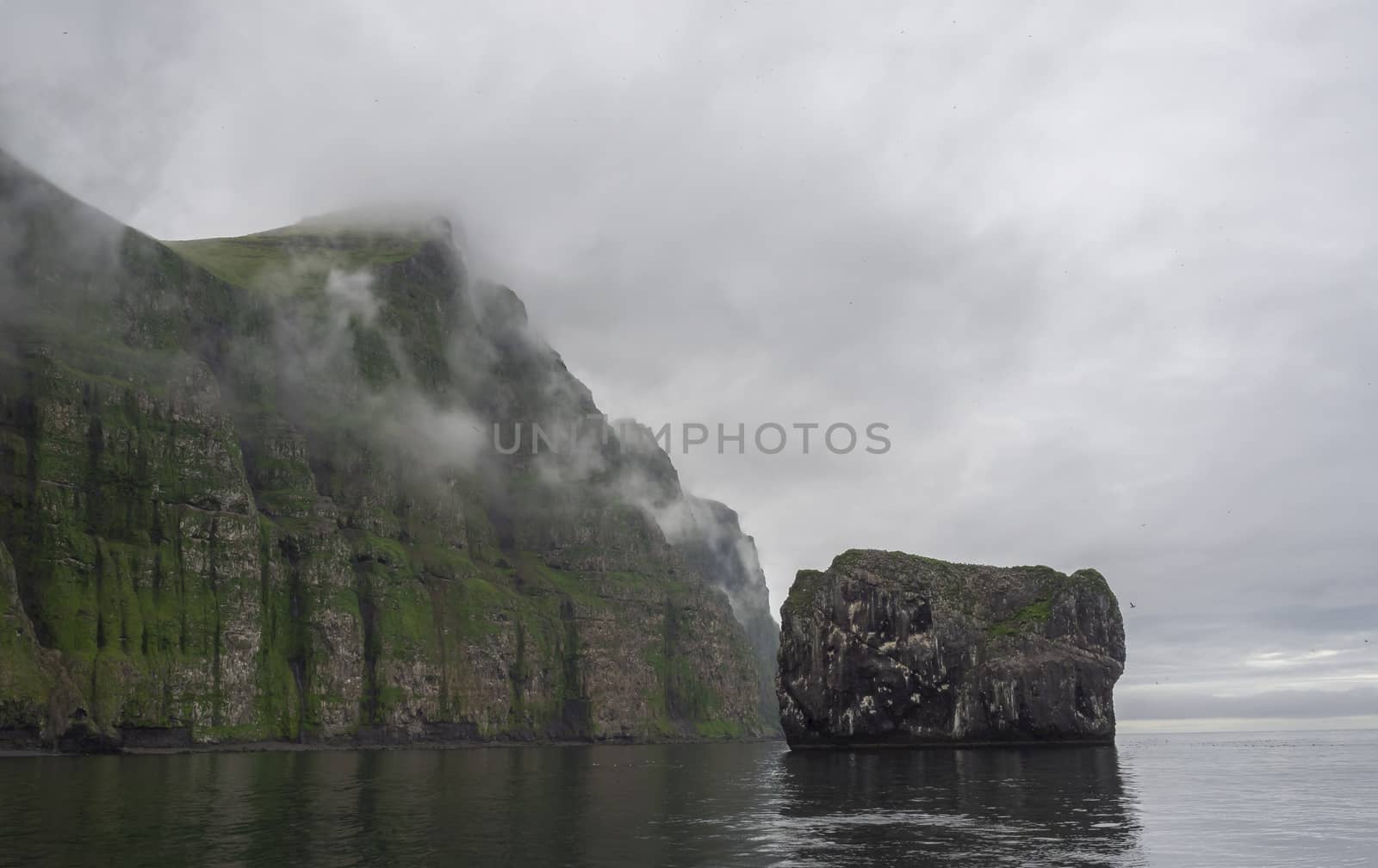 view from boat on steep green Hornbjarg cliffs biggest bird cliffs in Europe, west fjords, remote nature reserve Hornstrandir in Iceland, misty fog ocean and moody sky