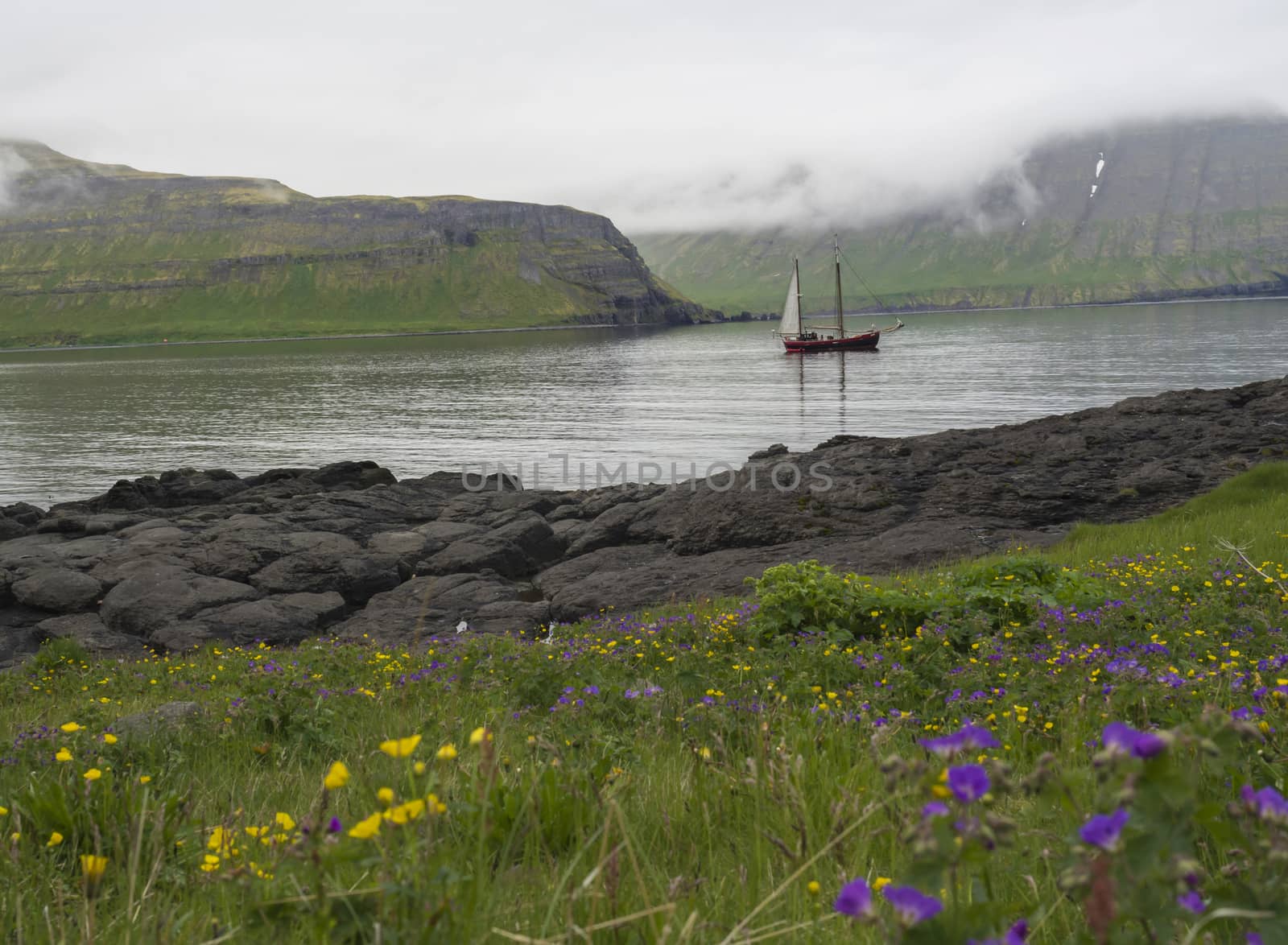 Vintage sailing ship in front of the high Hornbjarg cliffs hiden in fog at Hornstrandir national park, Iceland, purple and yellow flowers on green meadow in foreground