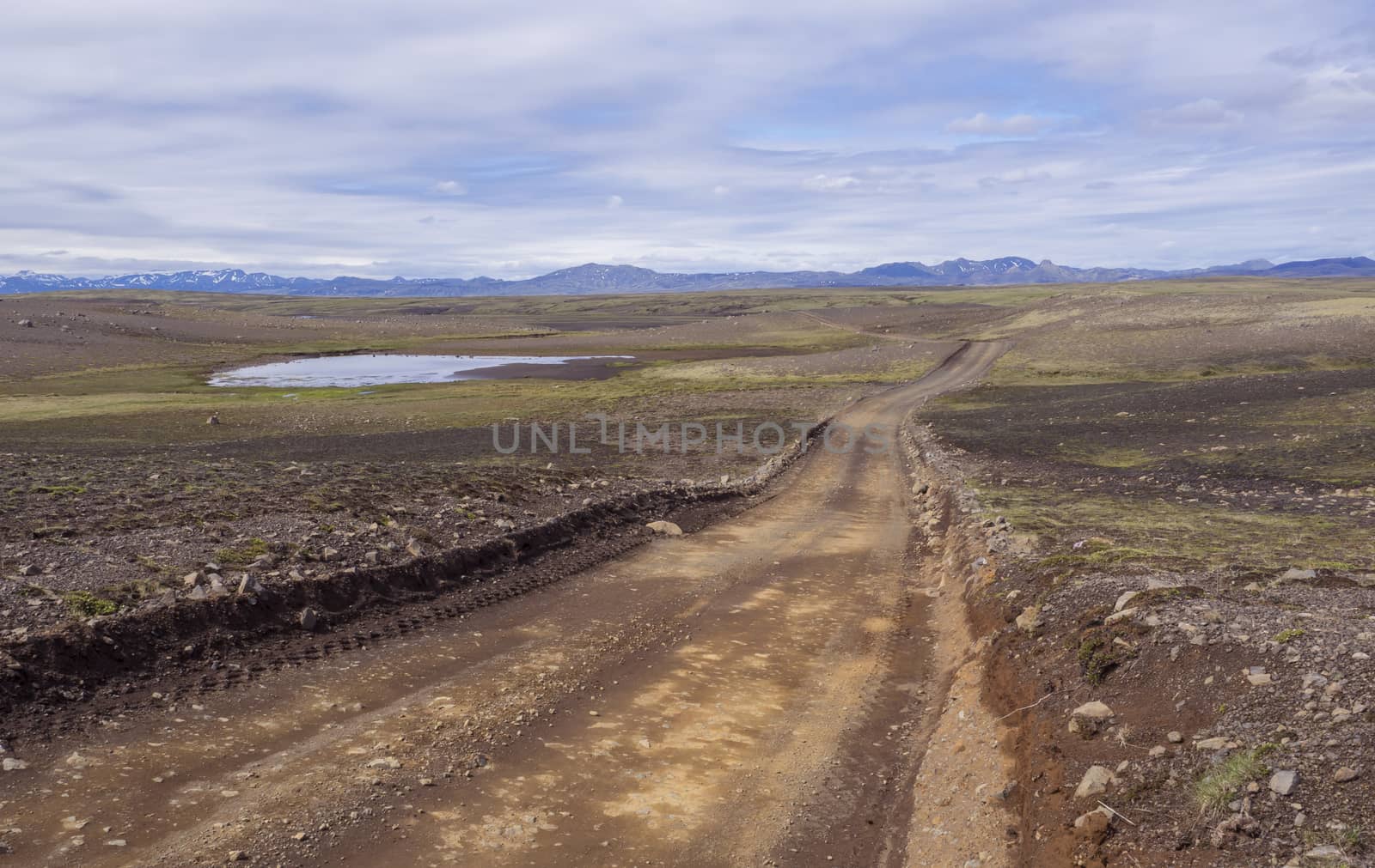dirt mountain road in abandoned green landscape at Nature reserve Fjallabak in Iceland with snow covered rhyolit mountain range, blue sky white clouds