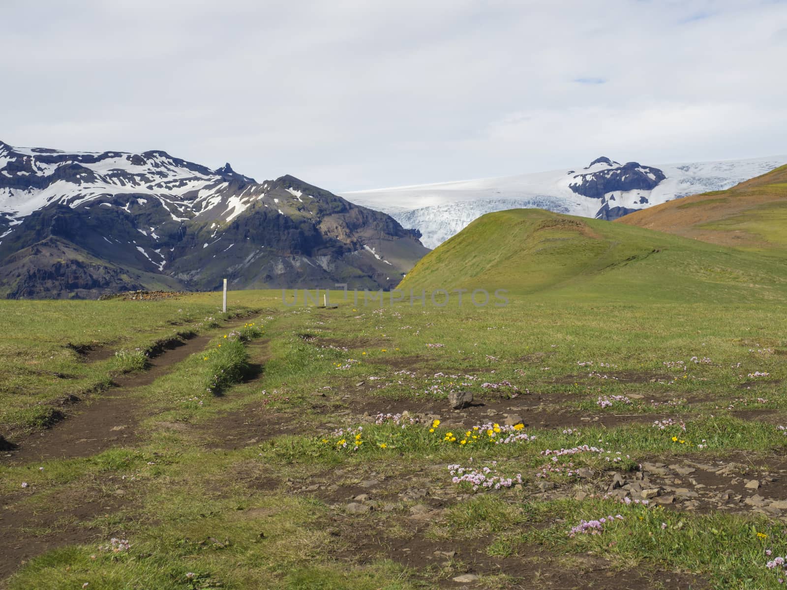 grass footpath and hill with view on glacier Skaftafellsjokull, Vatnajokull spur in Skaftafell Park, South Iceland by Henkeova