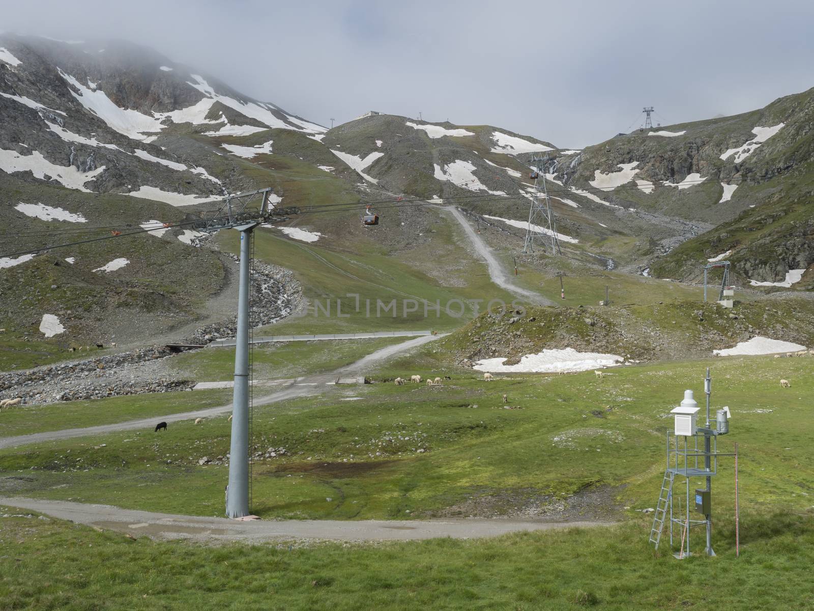View on snow spotted mountain slopes at Mittelstation with Stubaier Gletscher gondola lift at Stubai Glacier in Tyrol, Austria and grazing sheep and cows, Summer by Henkeova
