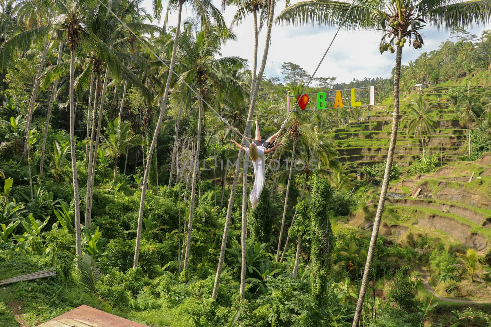 A young girl sways on a swing over a high canyon. Young tourist woman swinging on a cliff in the jungle rainforest of tropical Tegalalang, Bali. Swing suspended between two coconut trees. I love Bali.