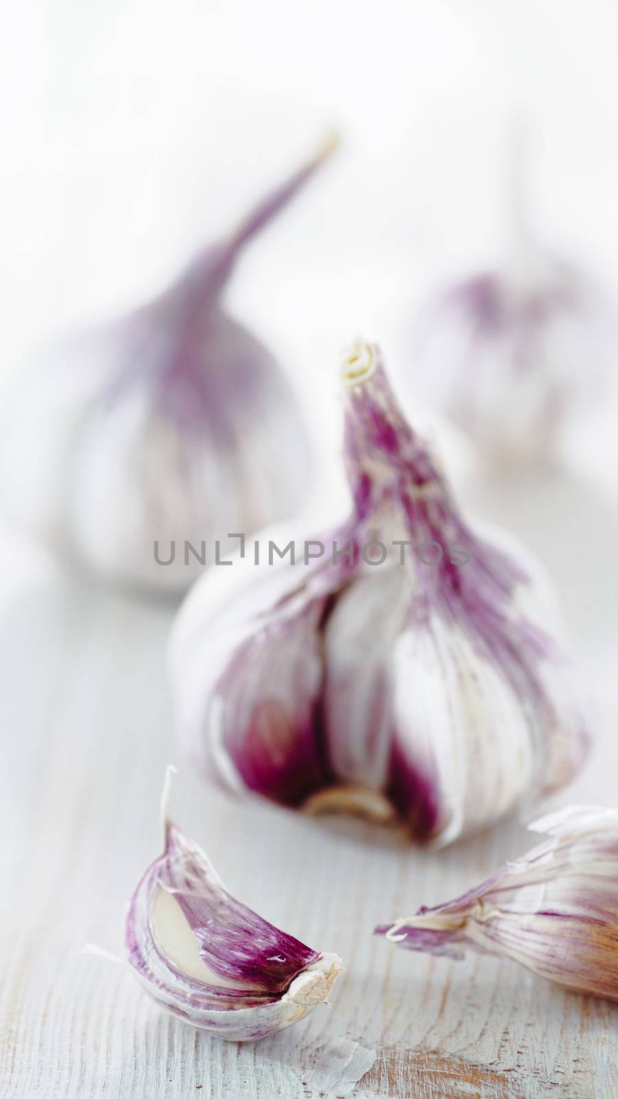 Garlic bulb with garlic cloves on white wooden background. Perfect garlic with copy space for text or design. Vertical. Shallow DOF