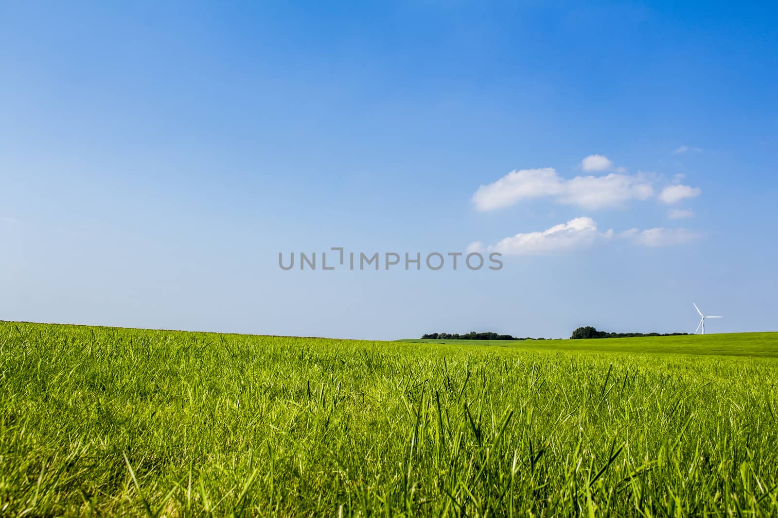 Blue sky, green grass, dike landscape in the north of Germany.