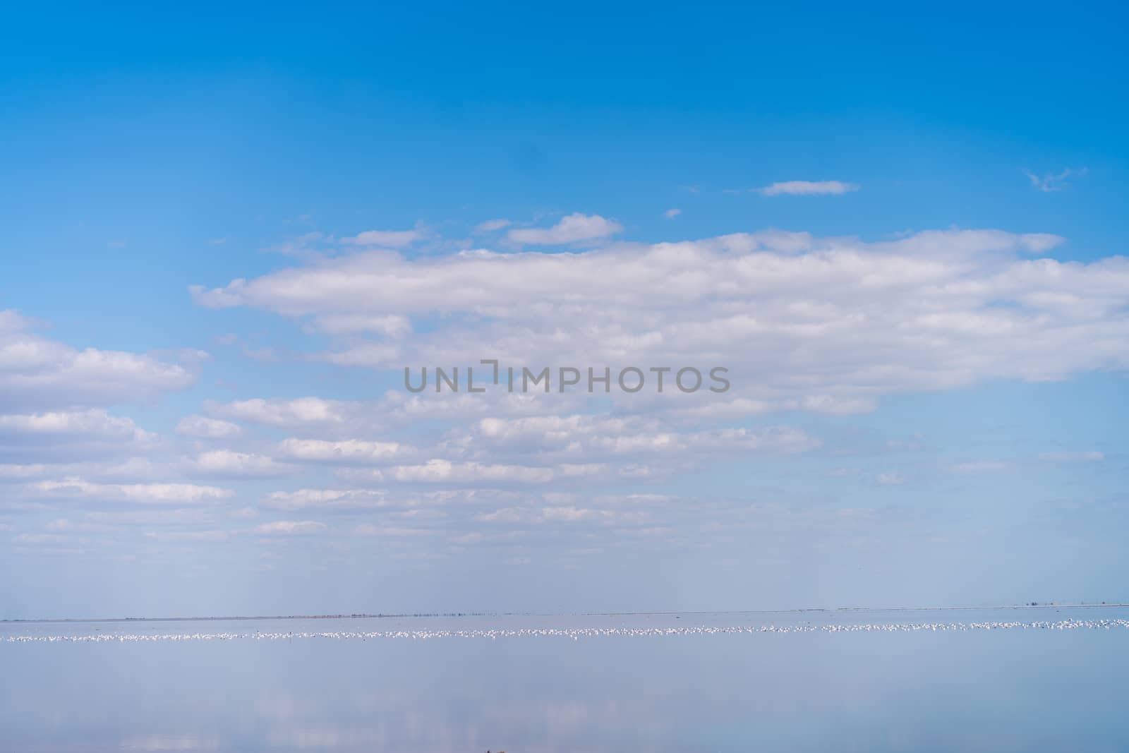 Dry sea endless sand beautiful clouds beautiful landscape estuary. Azove sea