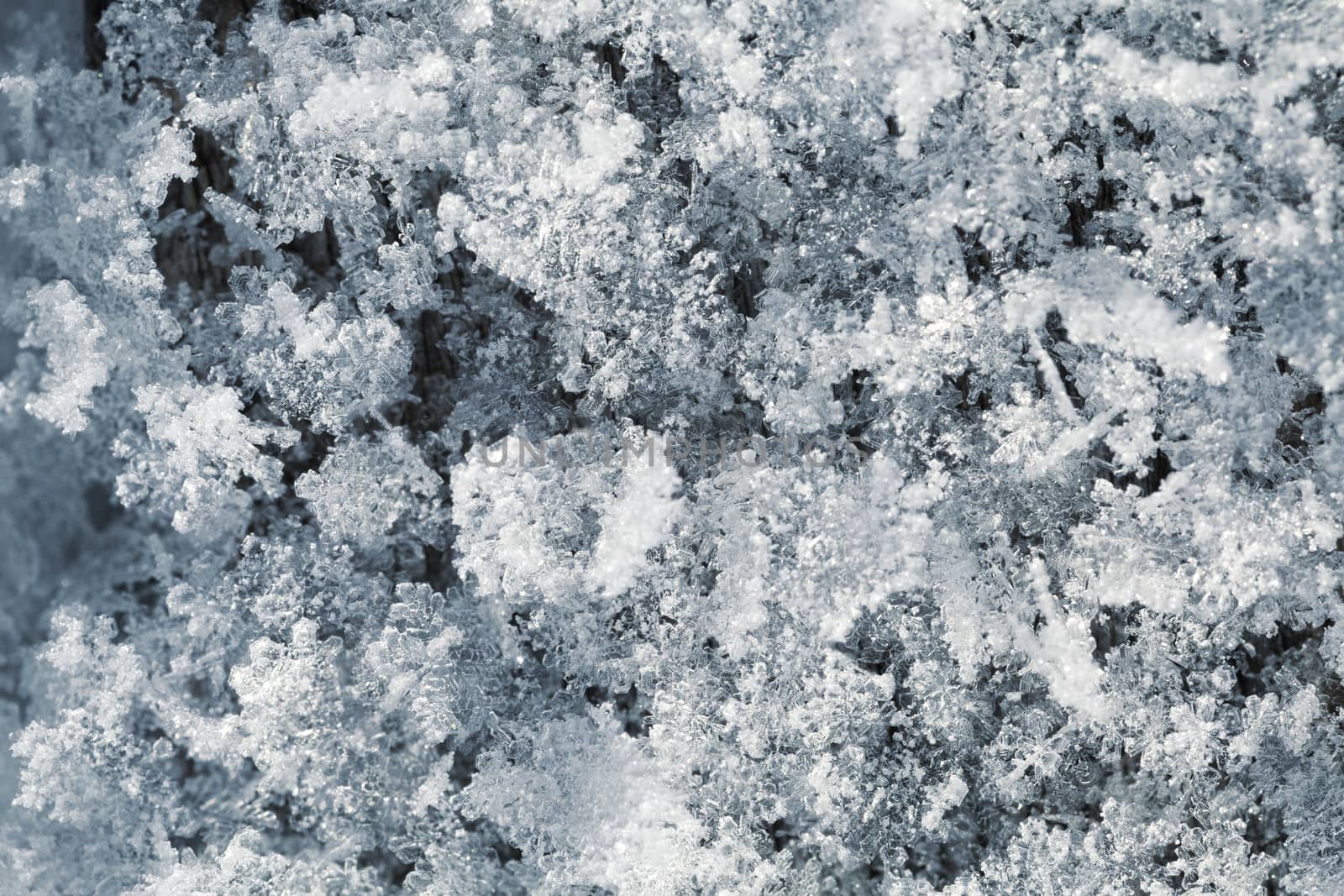 Snow crystals close-up for background by Goodday