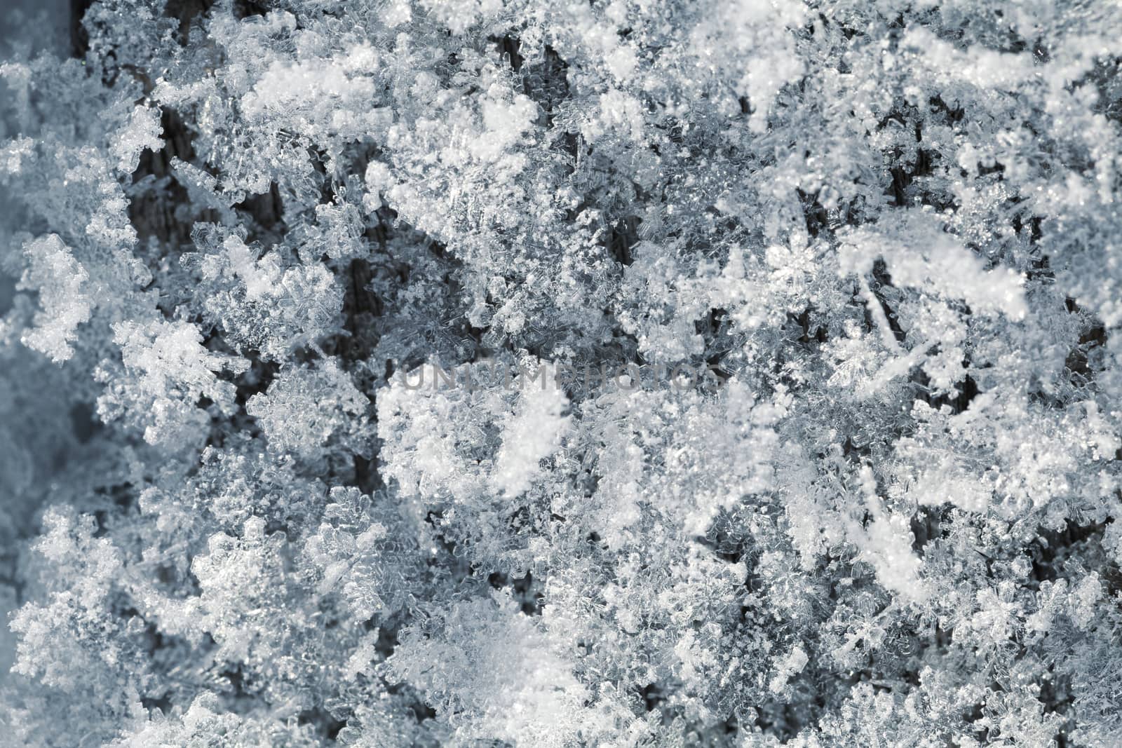 Macro shot of snow crystals, top view