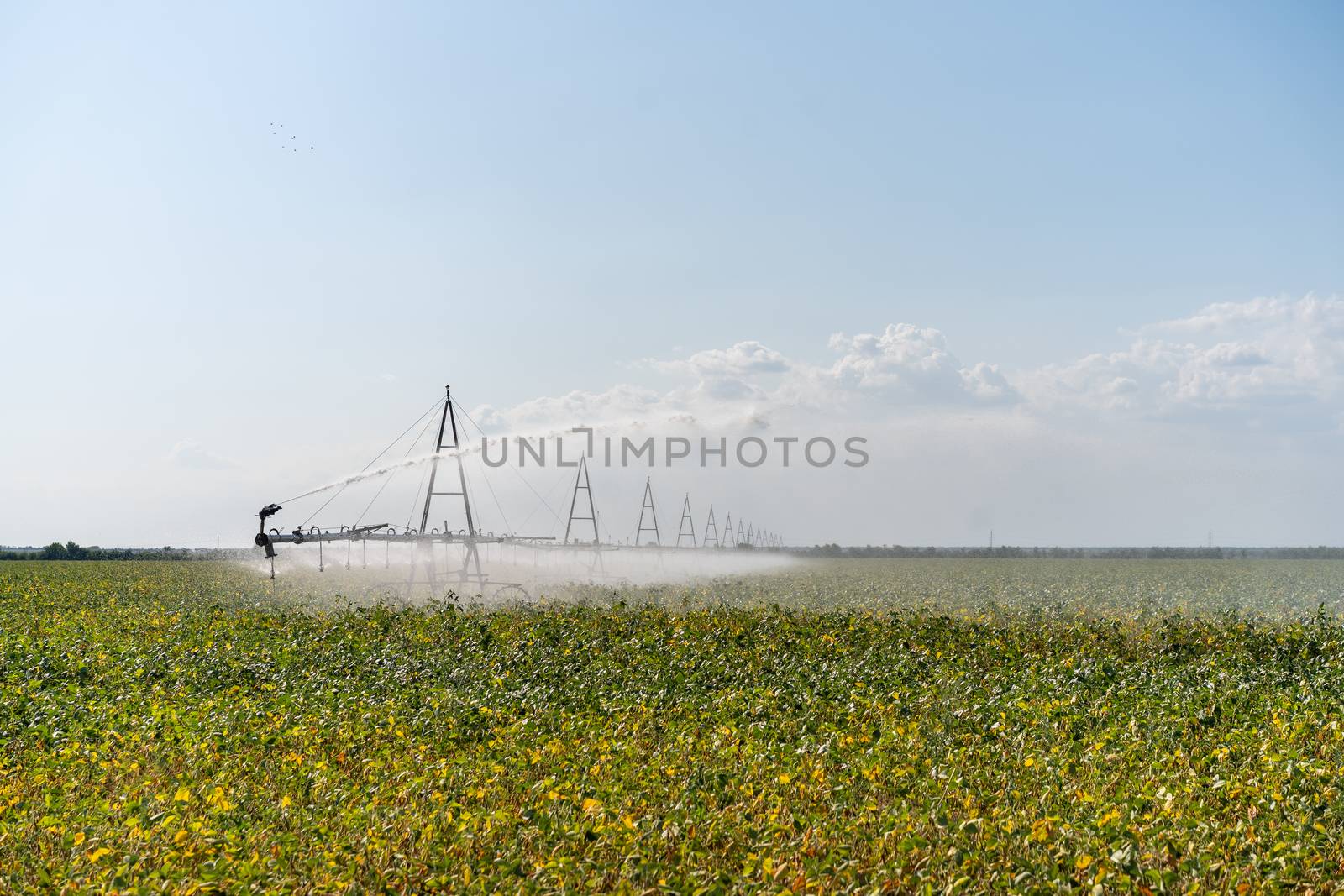 Irrigation System Watering Crops on Farm Field. Automatic water spray agriculturel farmland