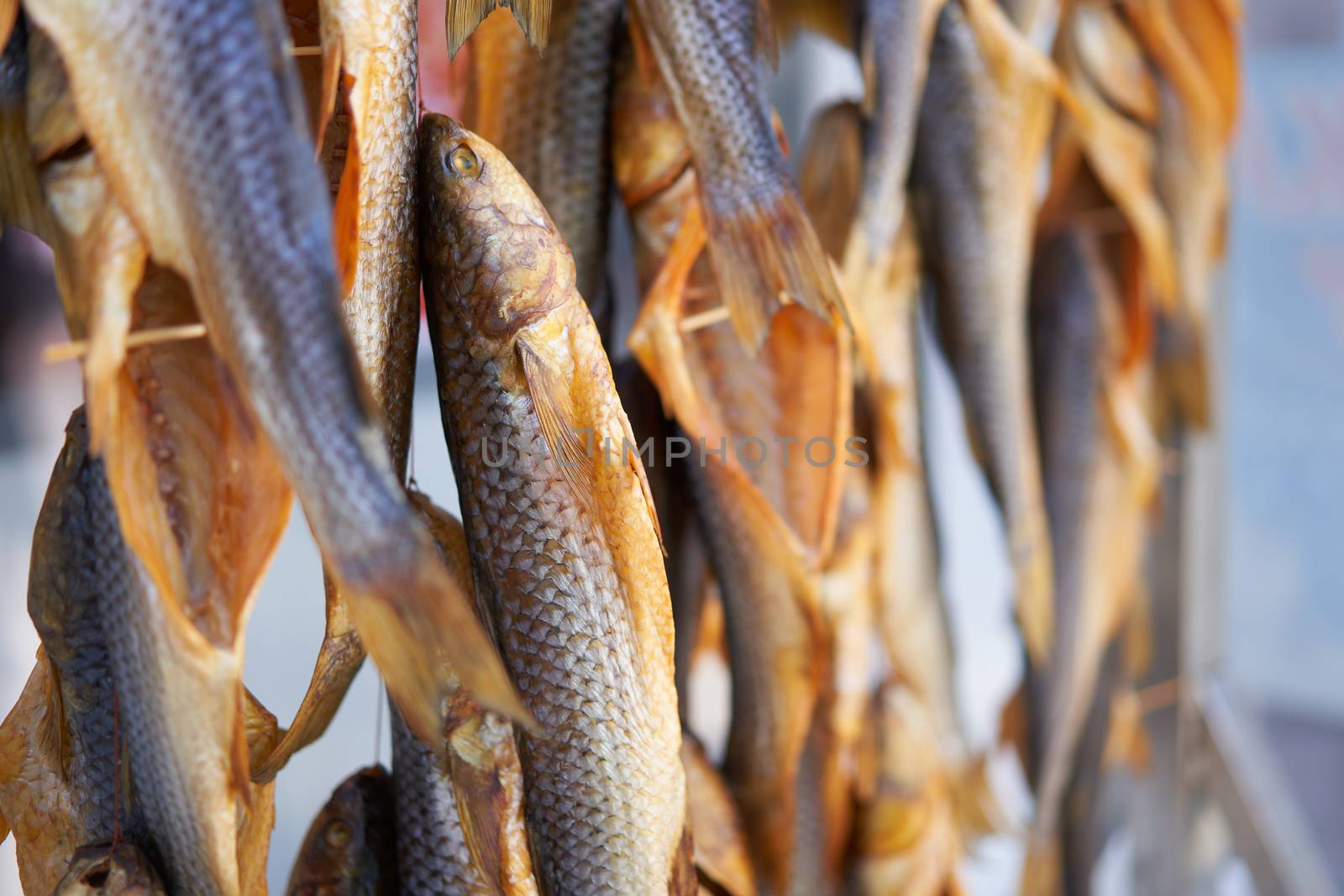 Dried fish hanging rope raw seafood drying salted beer snack Dry fish on store market Background