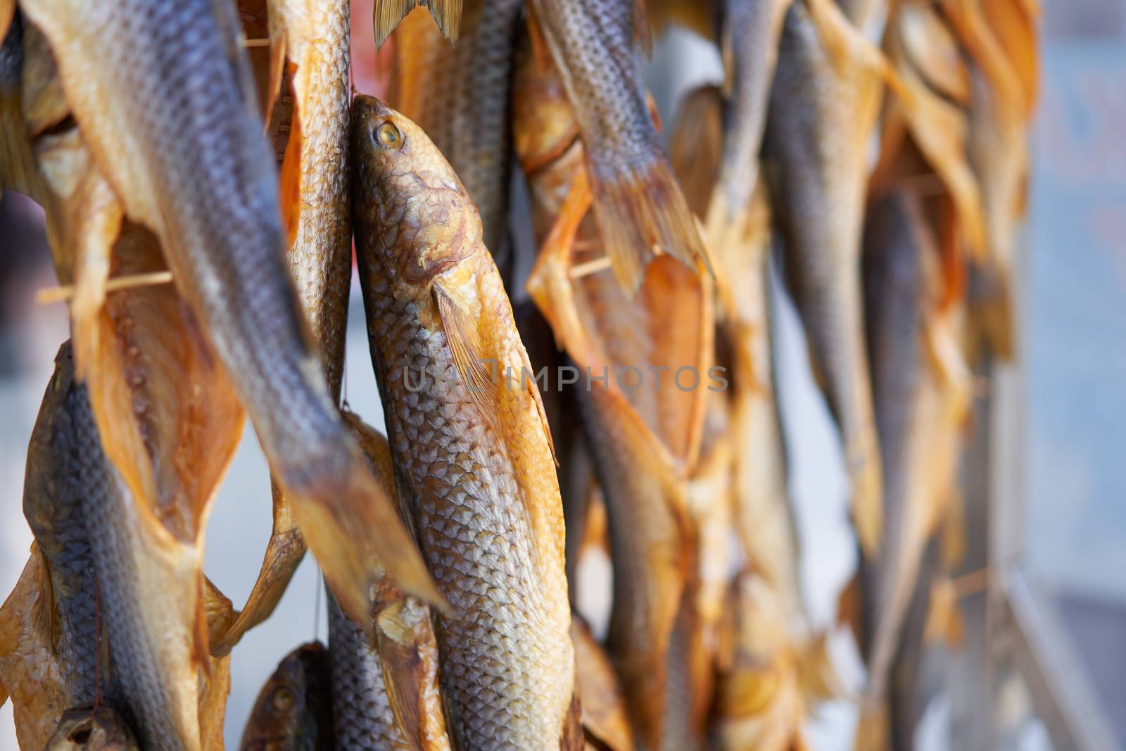 Dried fish hanging rope raw seafood drying salted beer snack by andreonegin