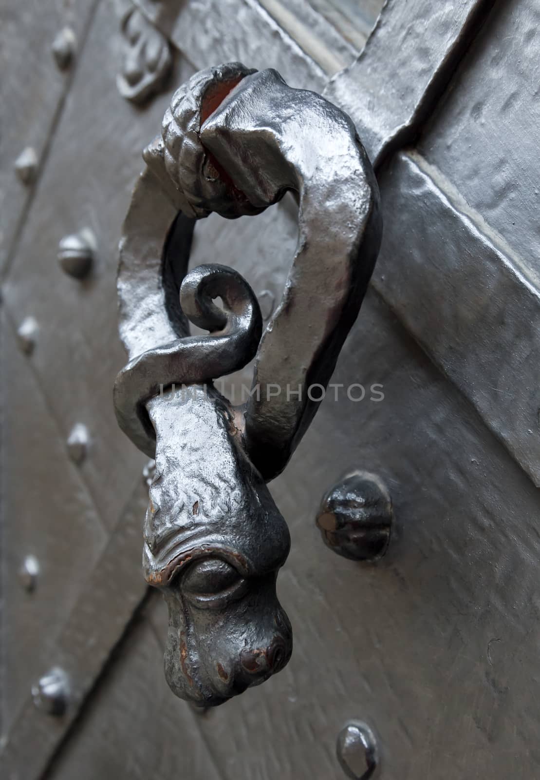 Old door knocker in a shape of a snake, Prague